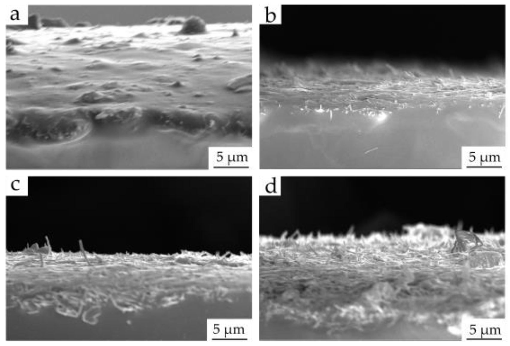 Materials 16 00641 g002