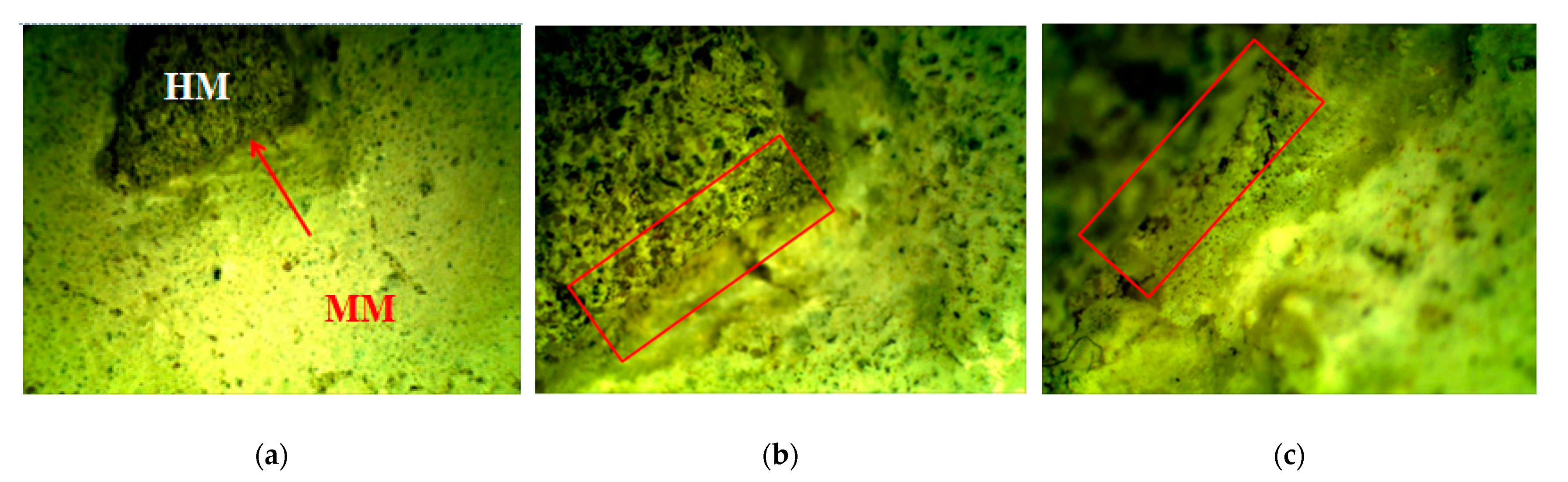 Materials 16 00642 g005