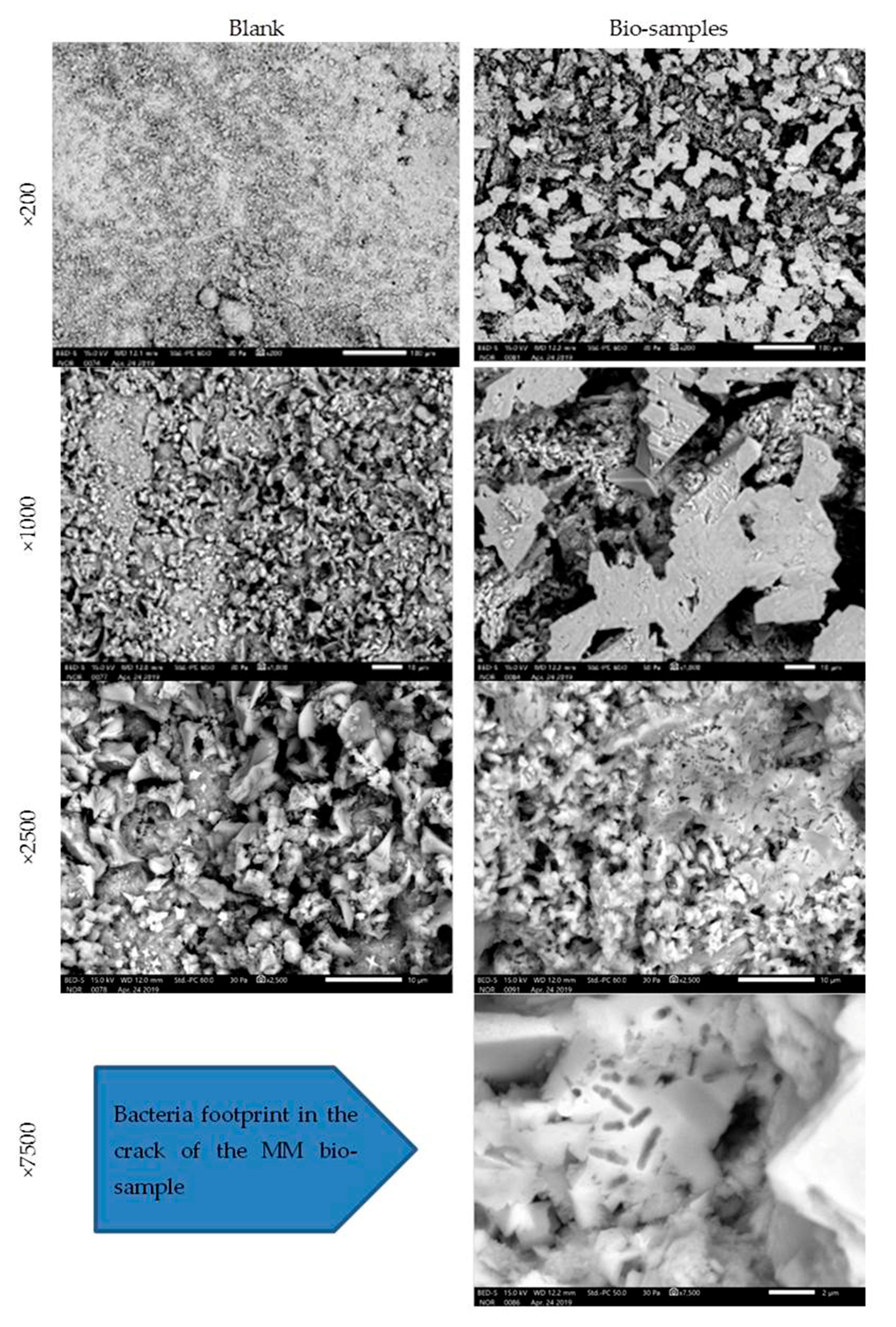 Materials 16 00642 g009