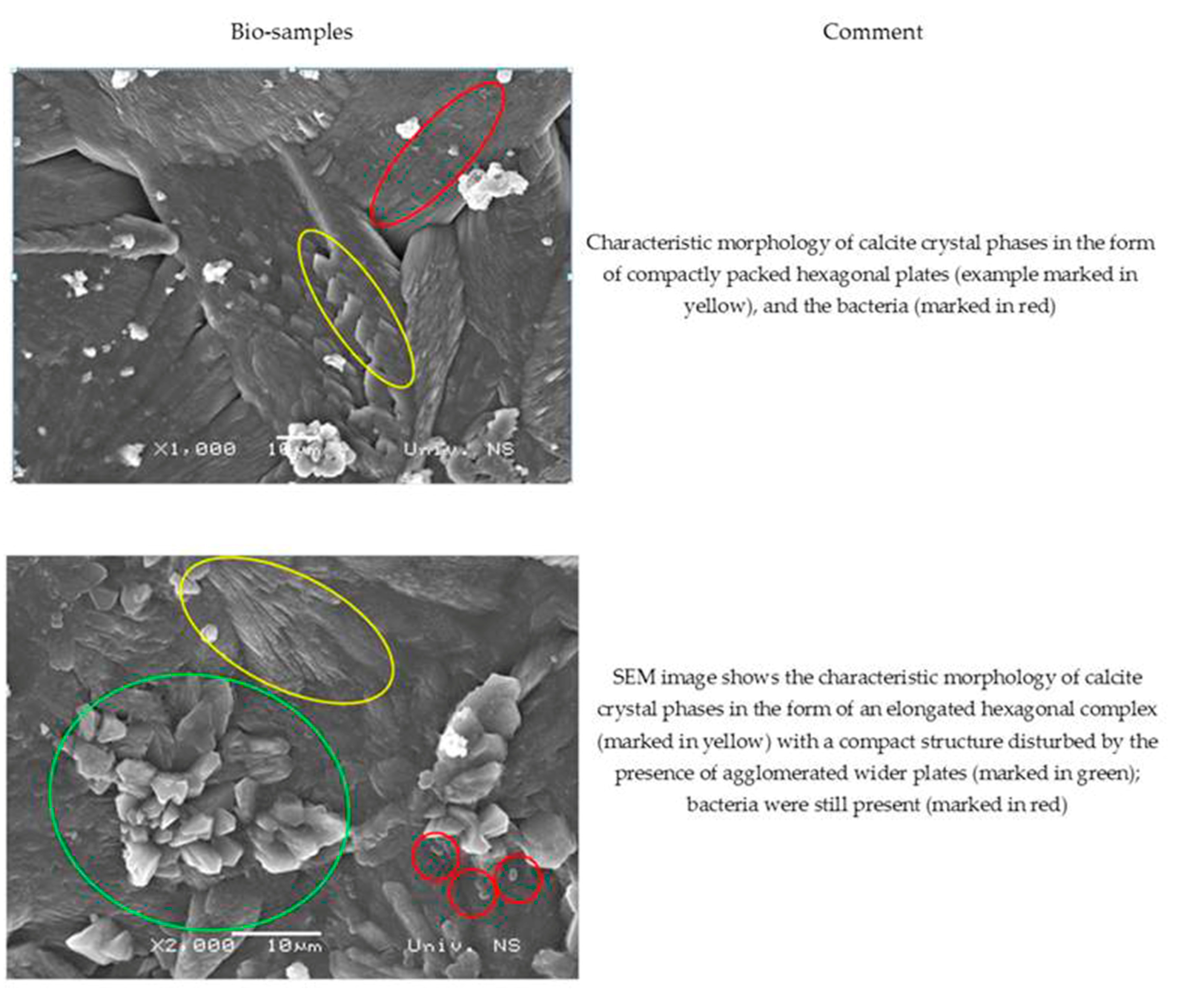 Materials 16 00642 g010