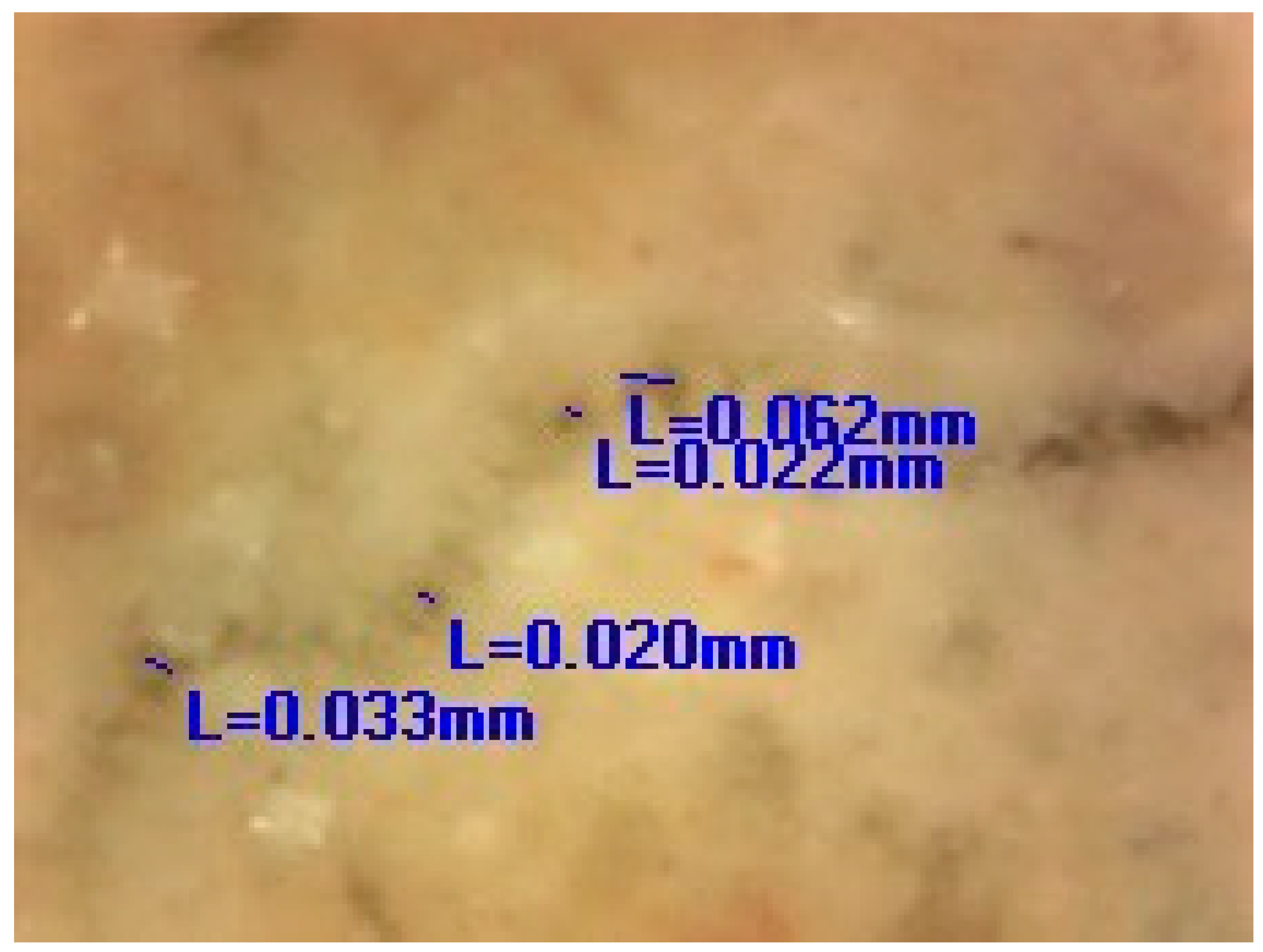 Materials 16 00642 i004