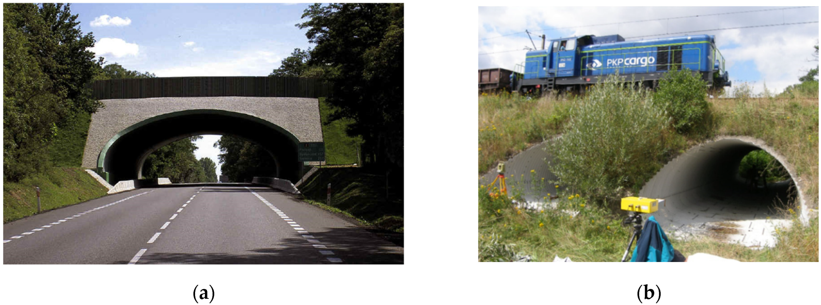 Materials 16 00650 g003