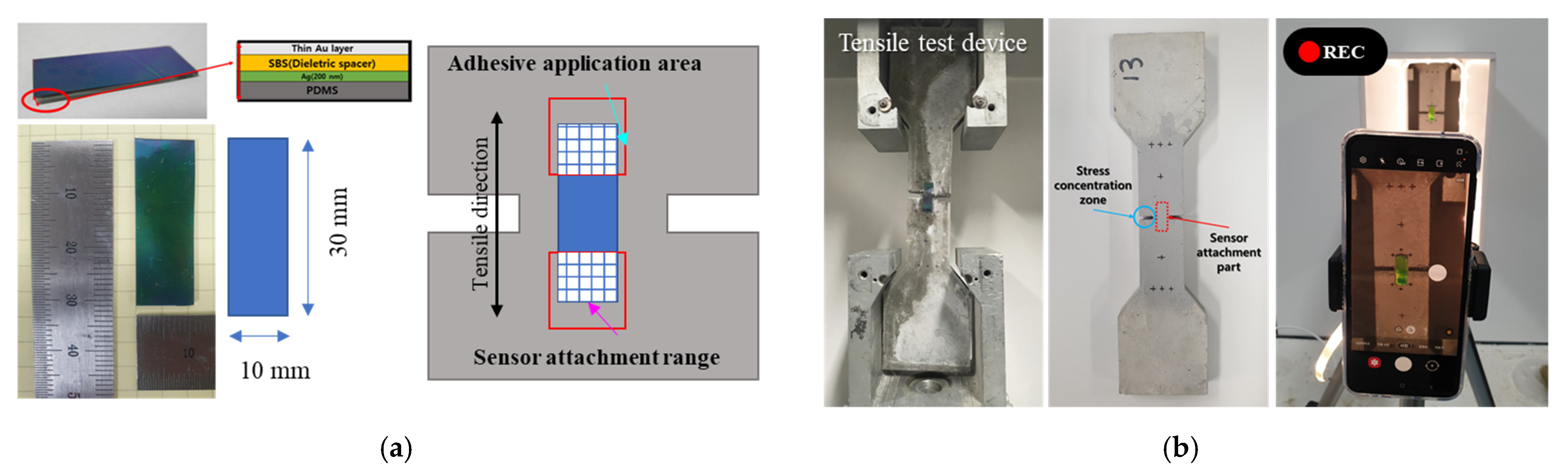 Materials 16 00662 g002 Materials 16 00662 g002
