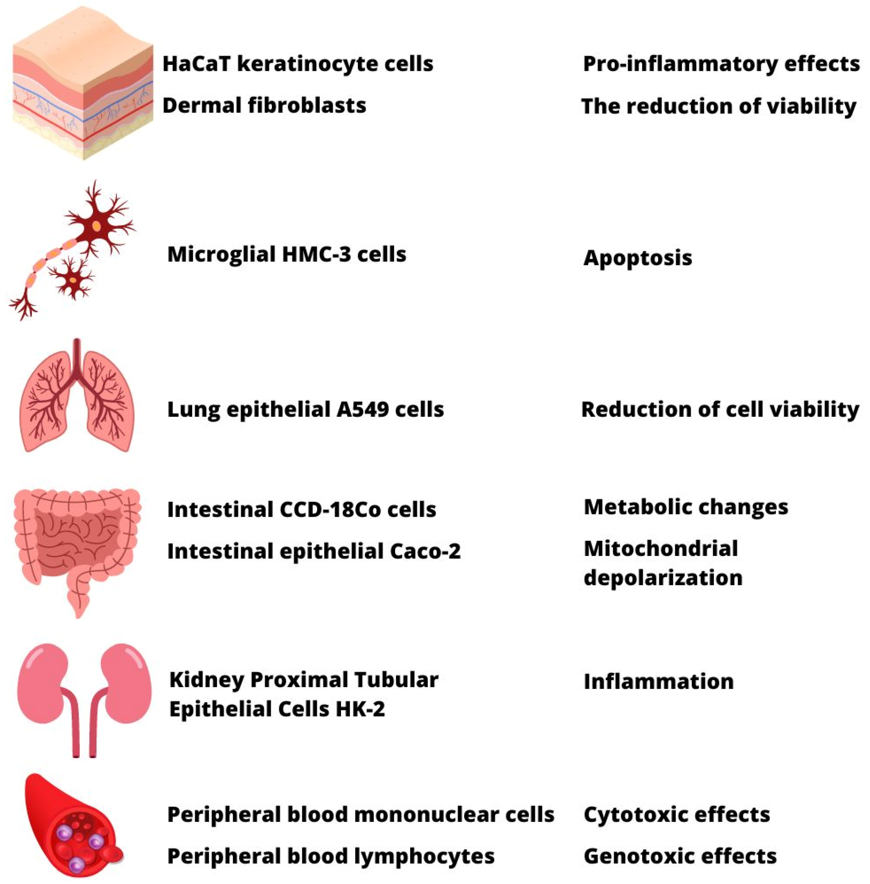 Materials 16 00674 g006