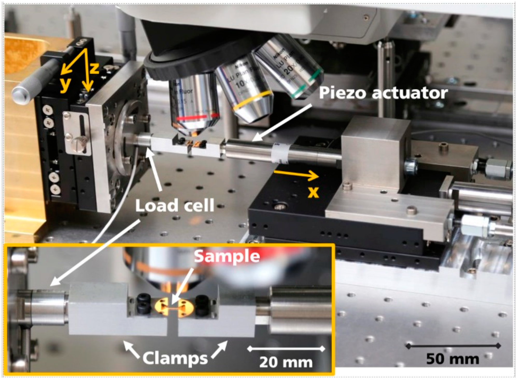 Materials 16 00676 g002 Materials 16 00676 g002