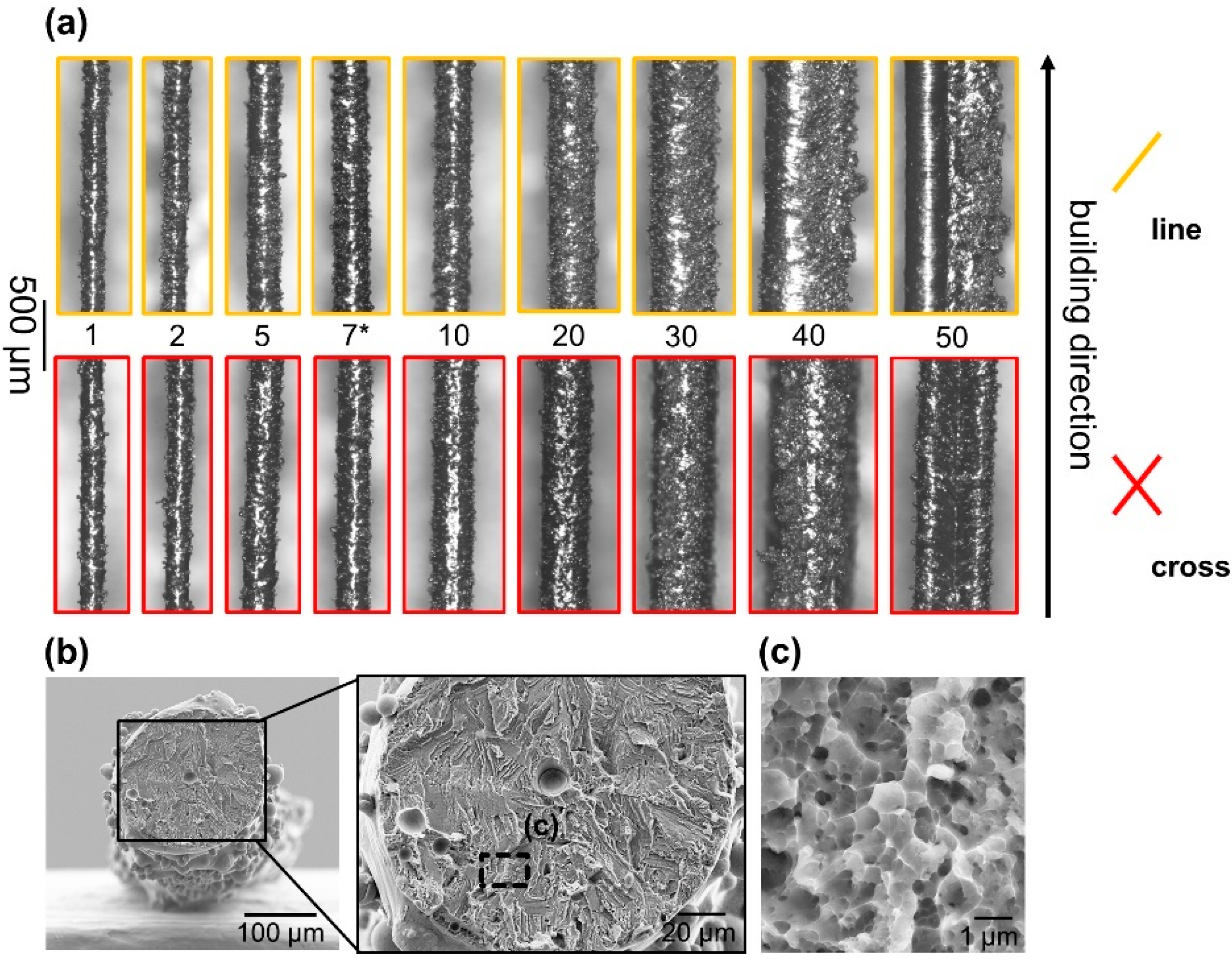 Materials 16 00676 g003 Materials 16 00676 g003