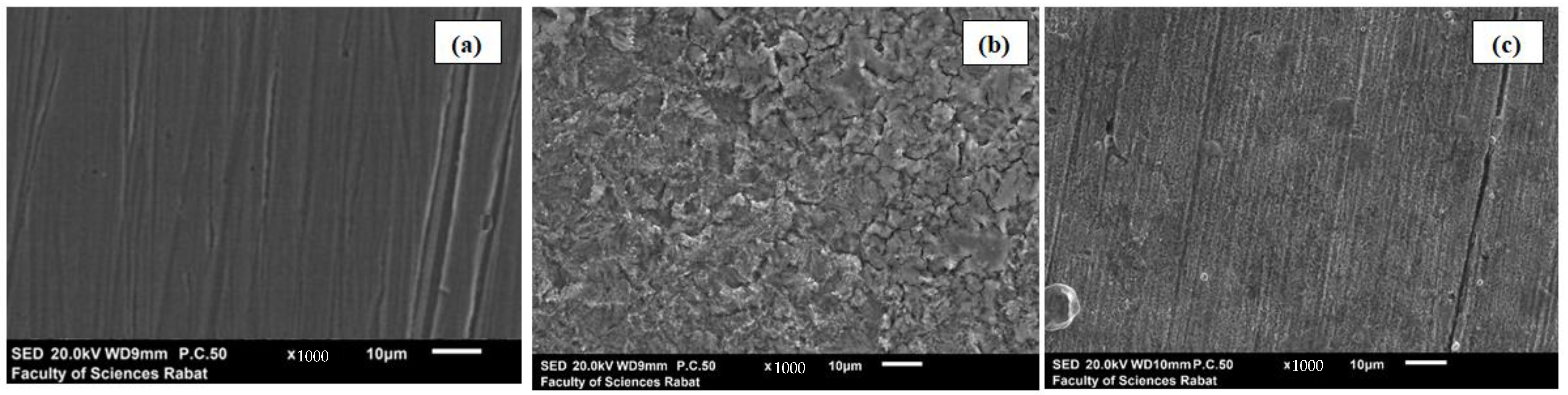 Materials 16 00678 g006