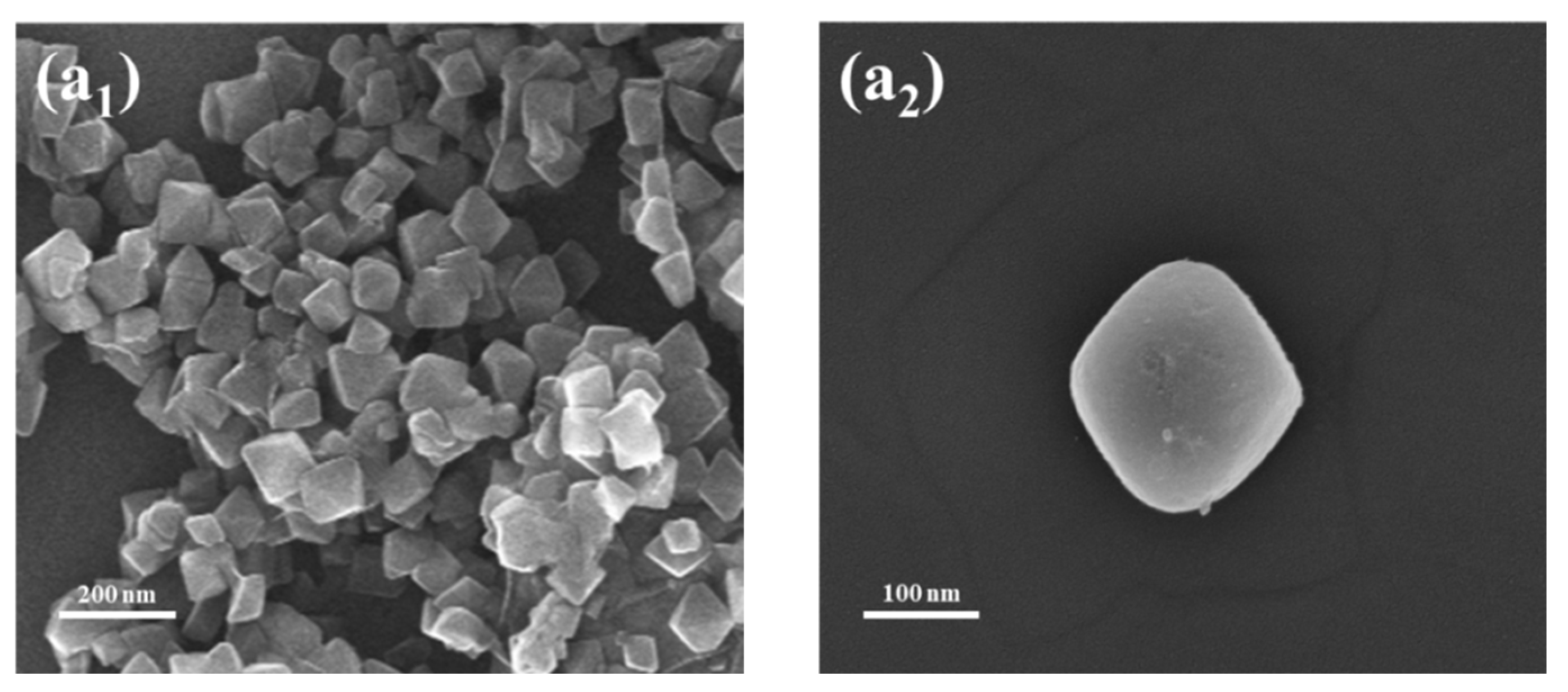 Materials 16 00684 g004a Materials 16 00684 g004a