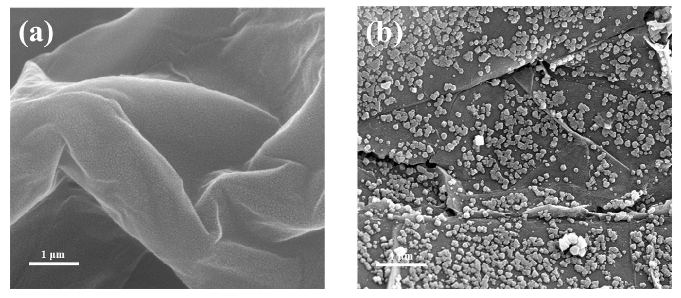 Materials 16 00684 g006a Materials 16 00684 g006a