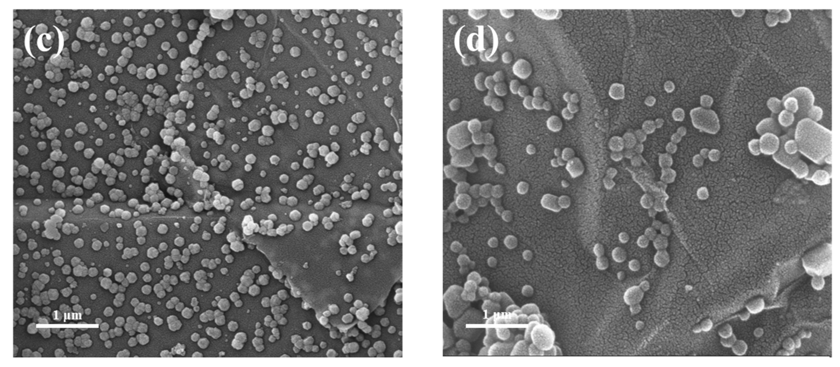 Materials 16 00684 g006b Materials 16 00684 g006b