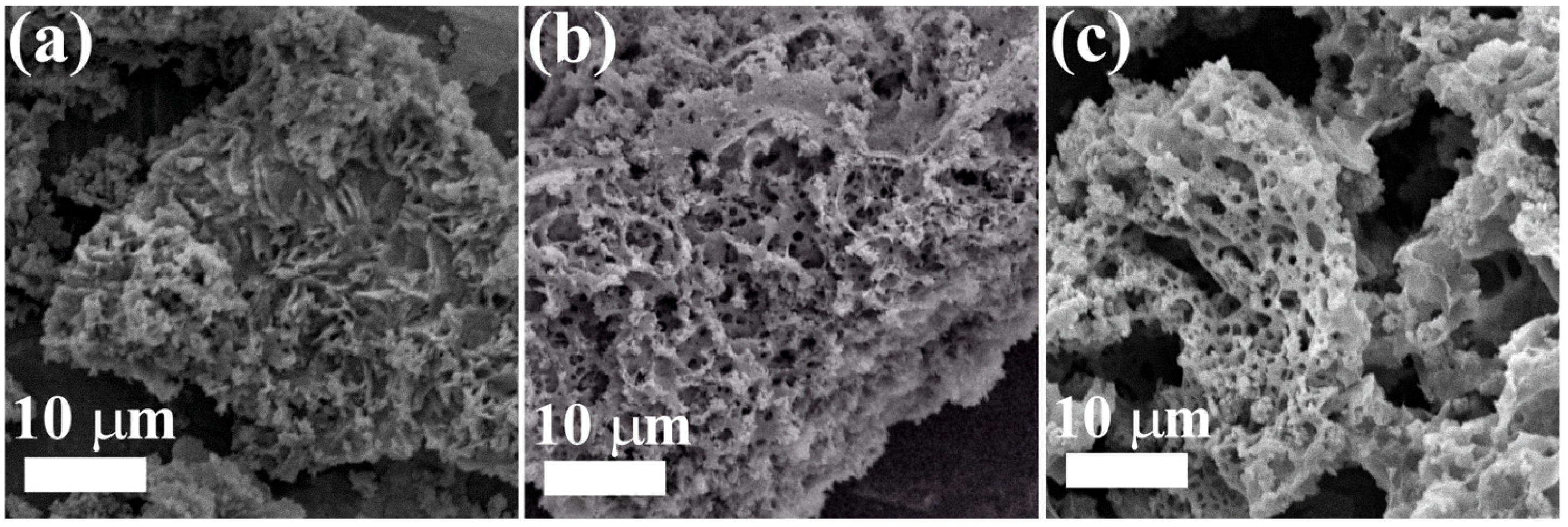 Materials 16 00693 g002