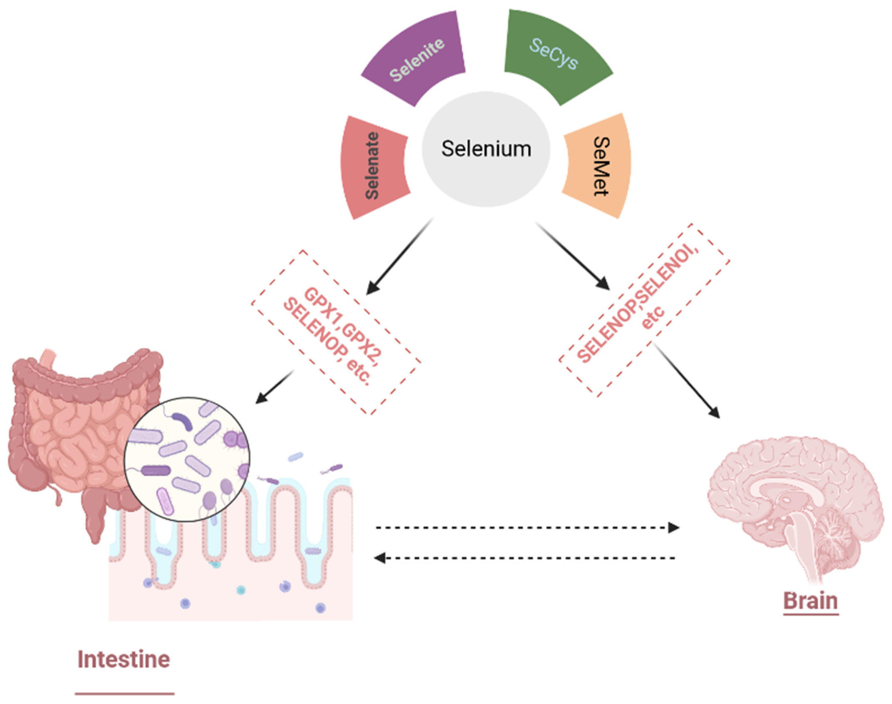 An ultra-sensitive kaempferol electrochemical sensor based