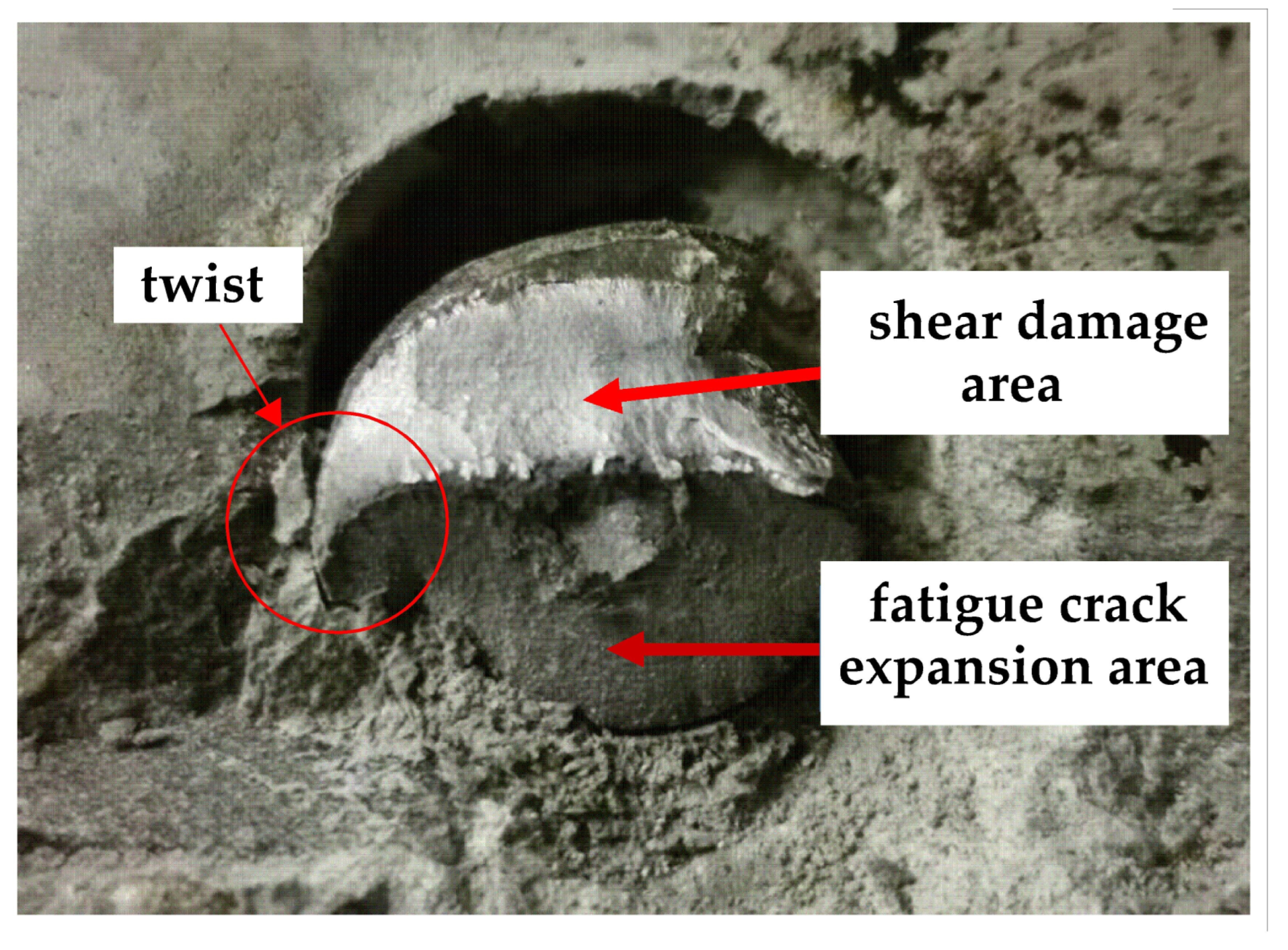 Materials 16 00701 g023 550