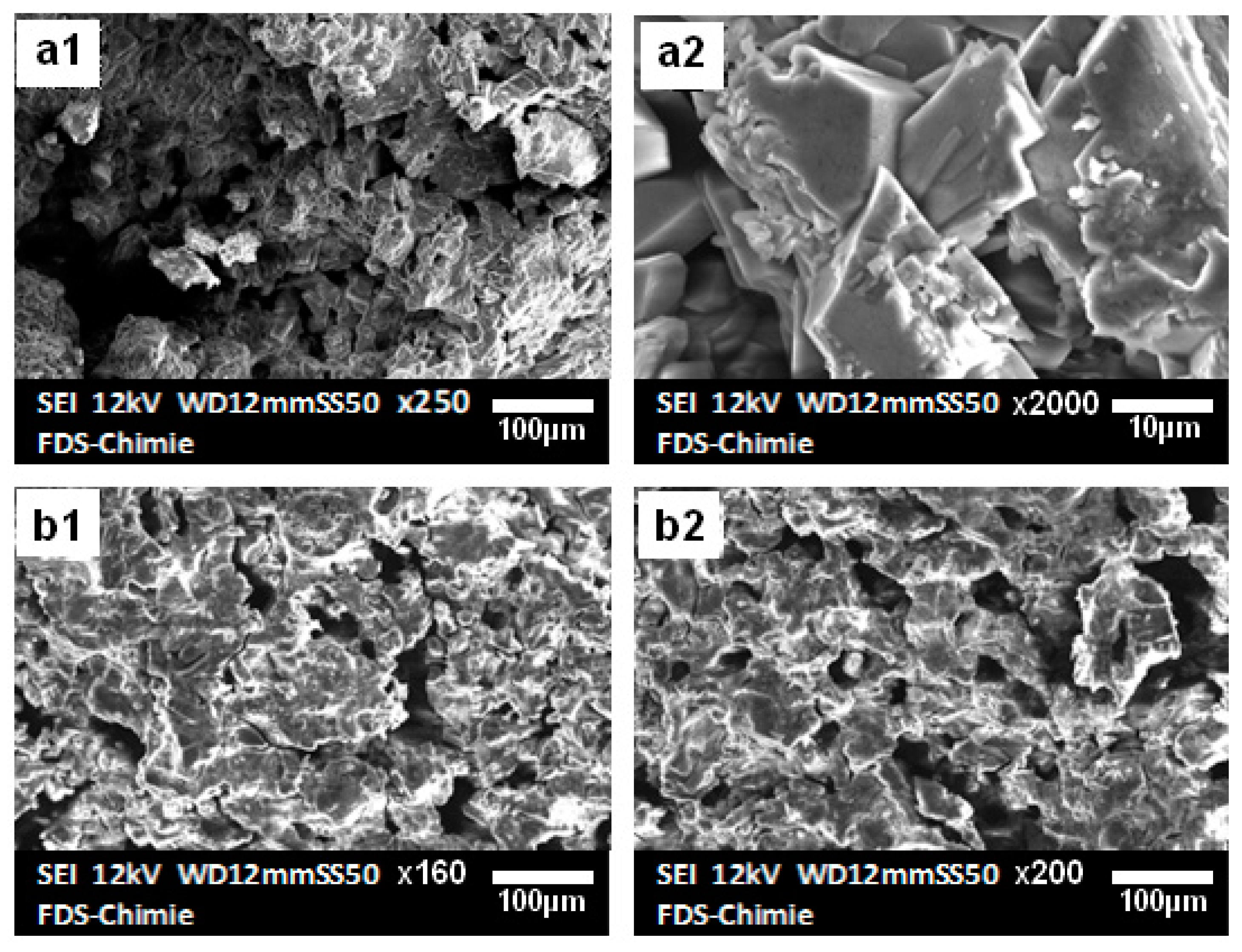 Materials 16 00718 g004 Materials 16 00718 g004