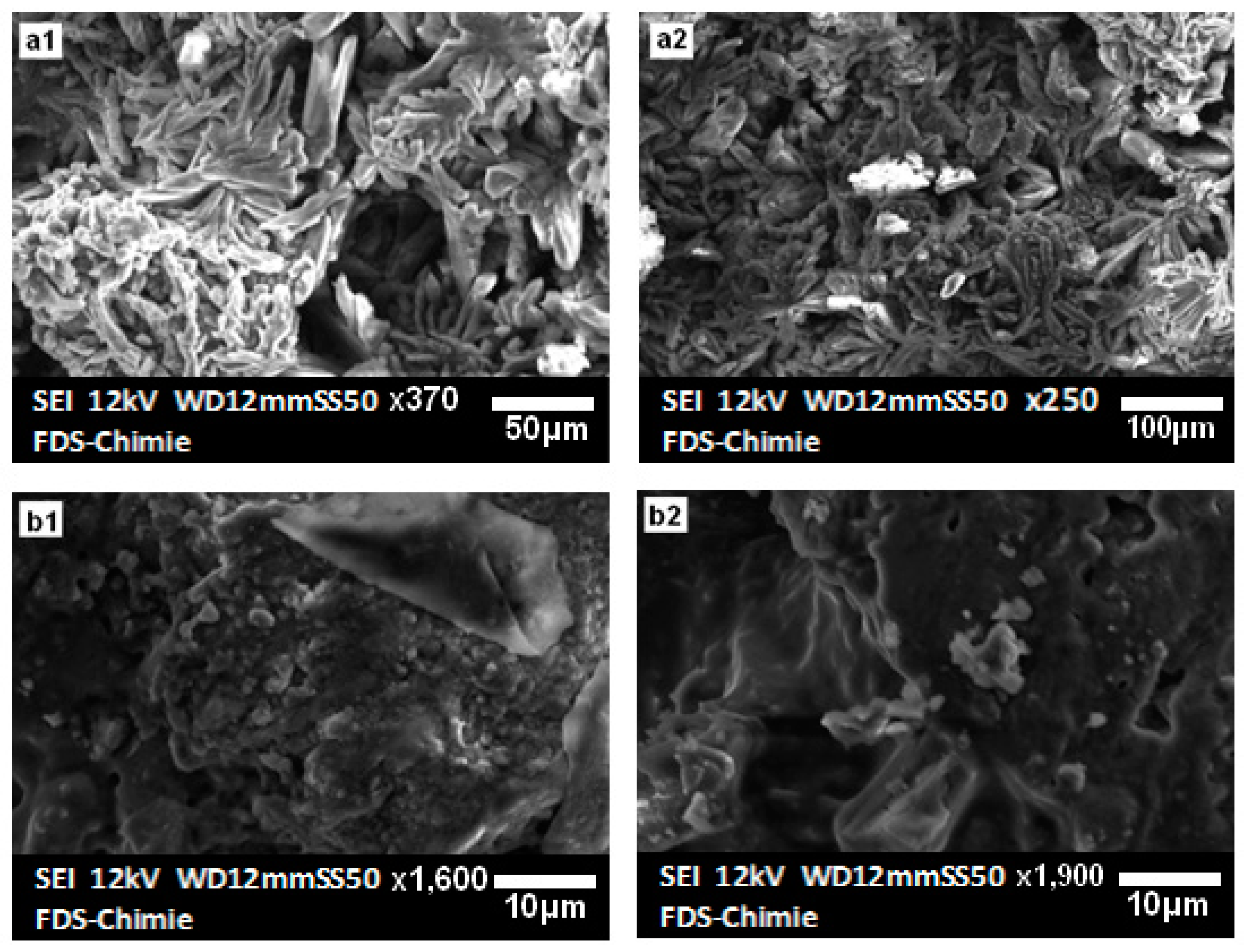 Materials 16 00718 g006 Materials 16 00718 g006