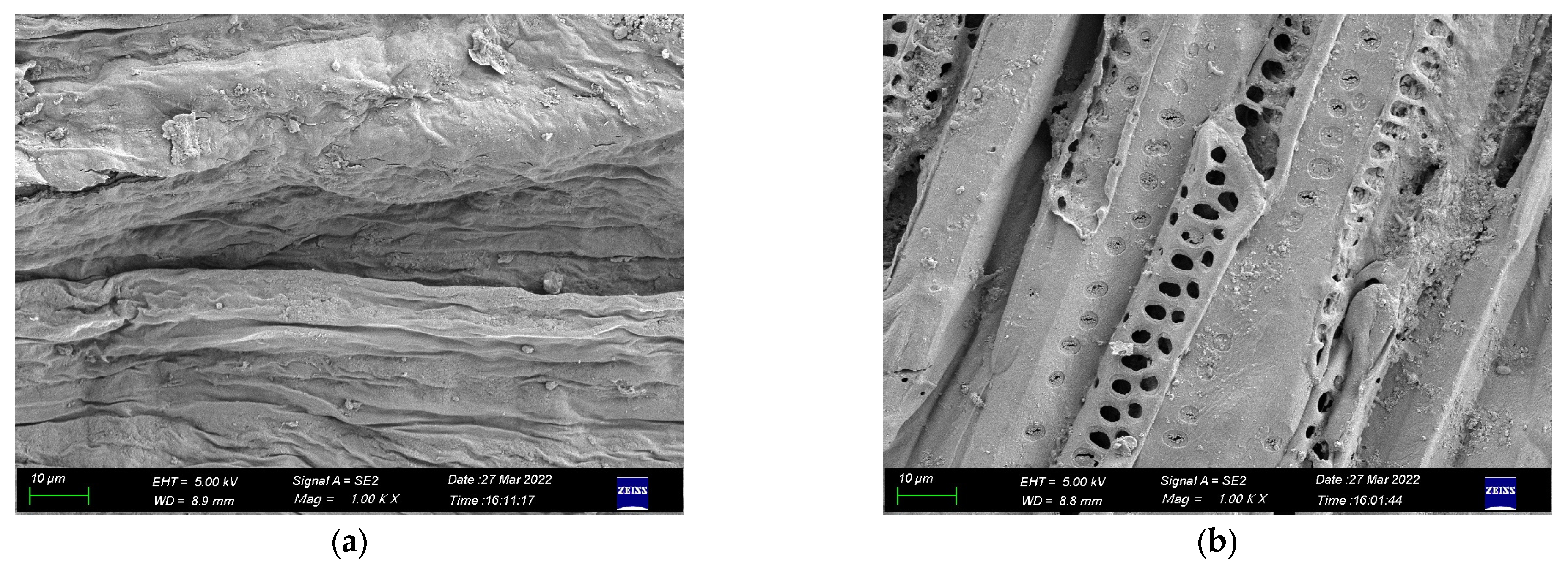 Materials 16 00719 g003 Materials 16 00719 g003