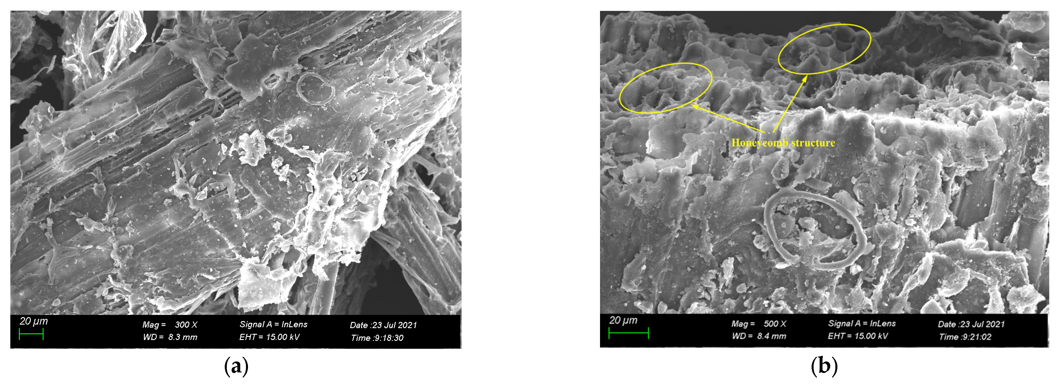 Materials 16 00719 g004 Materials 16 00719 g004