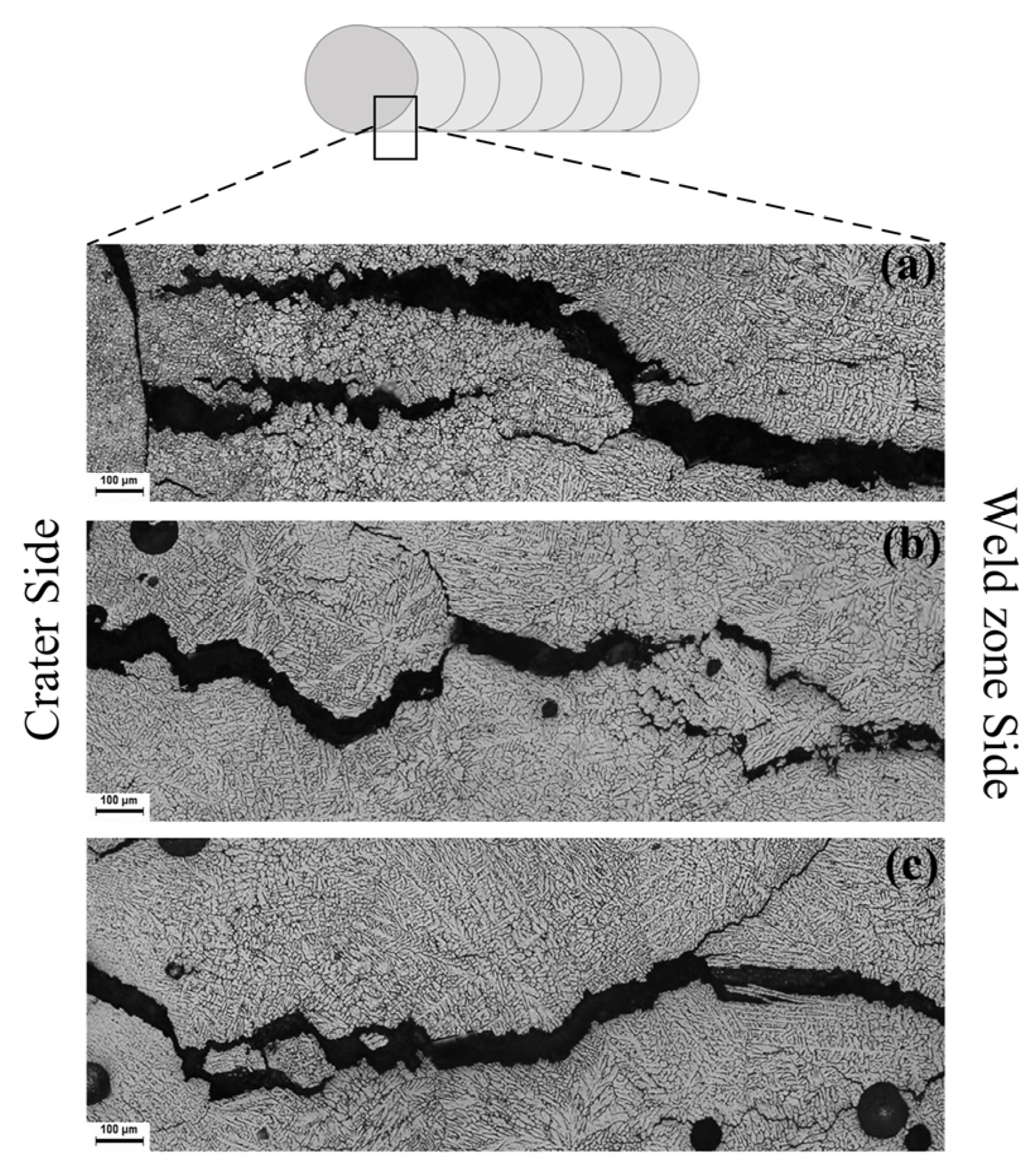 Materials 16 00721 g007