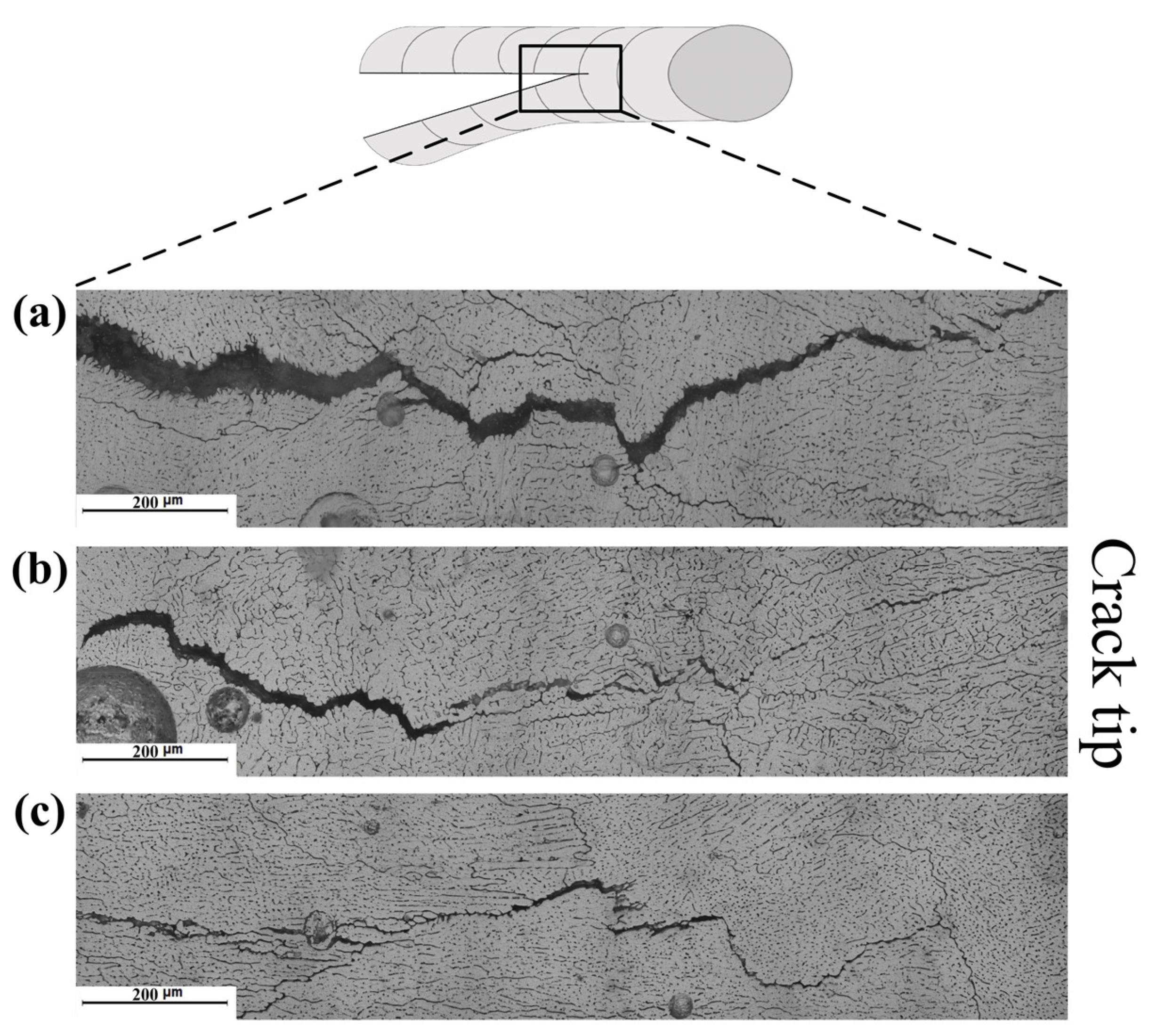 Materials 16 00721 g014
