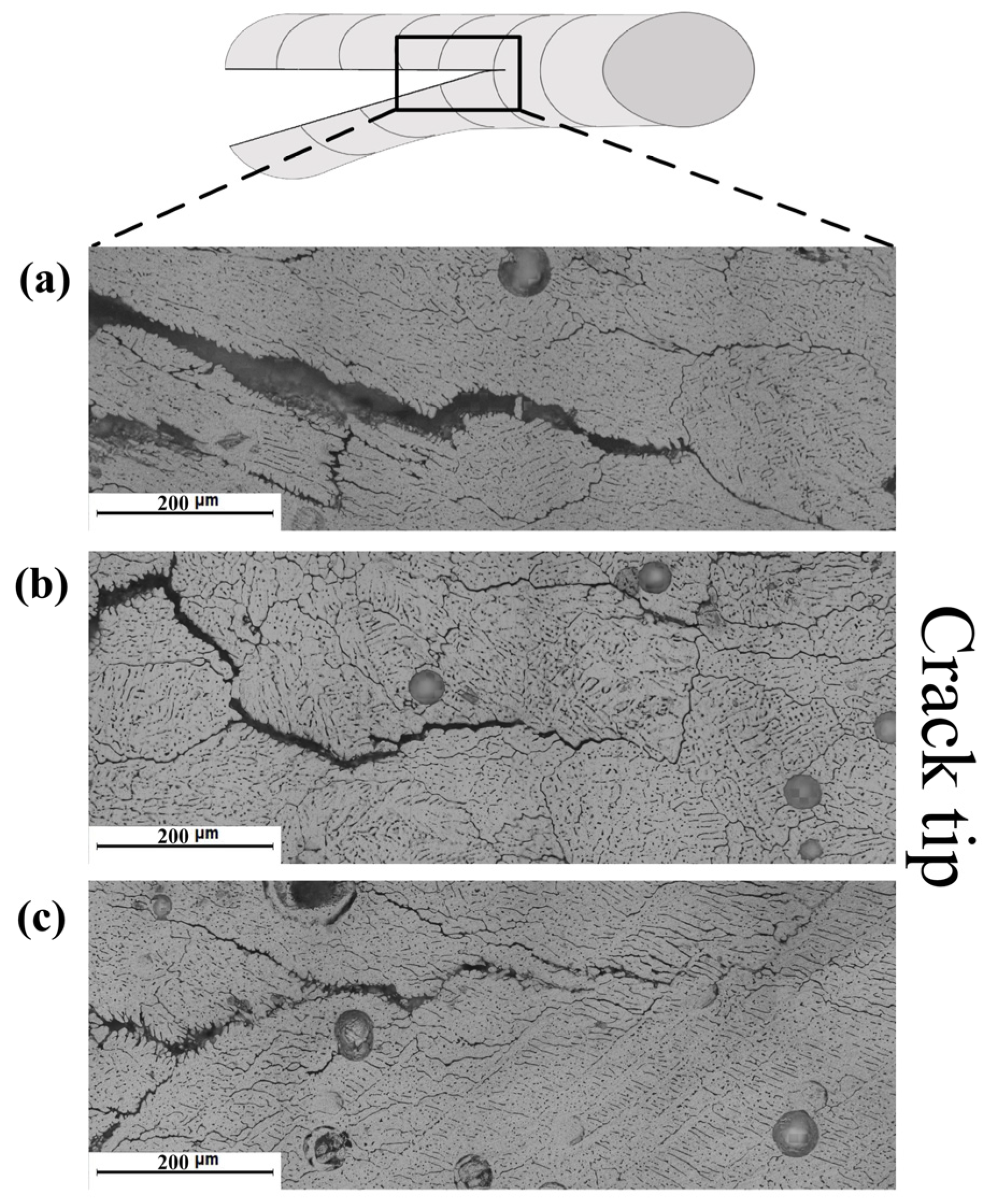 Materials 16 00721 g015