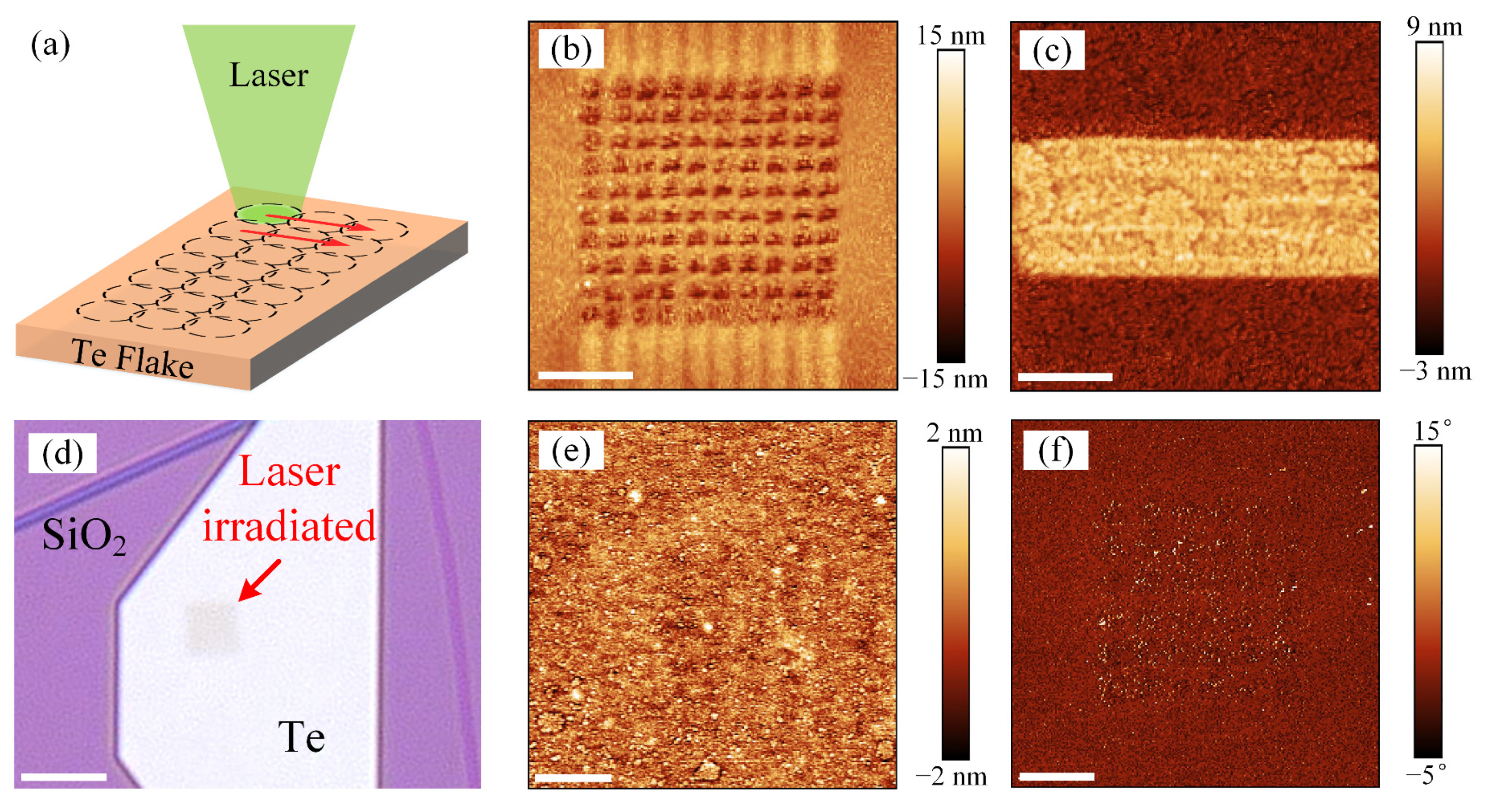 Materials 16 00738 g006 Materials 16 00738 g006