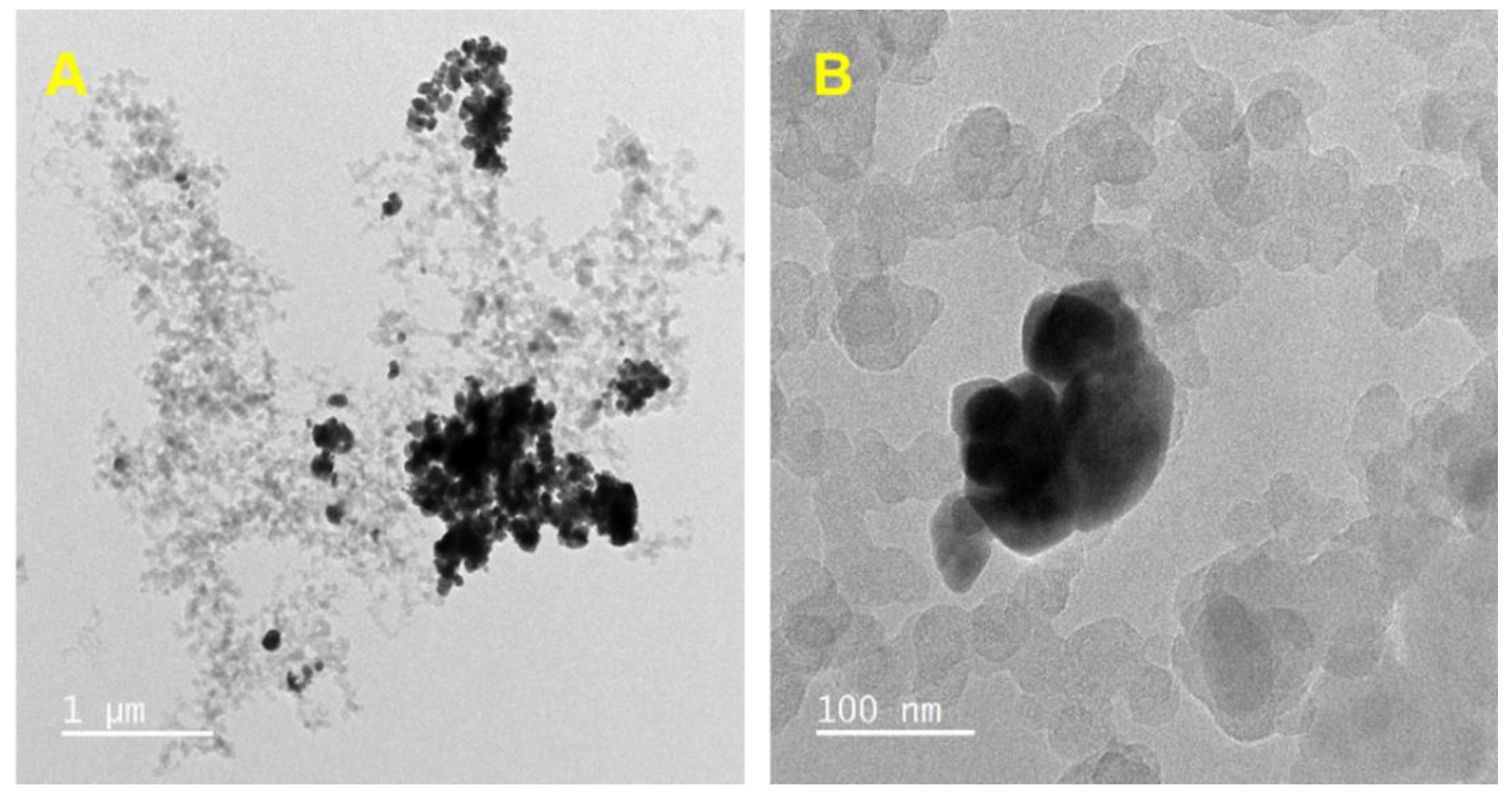 Materials 16 00741 g003 Materials 16 00741 g003