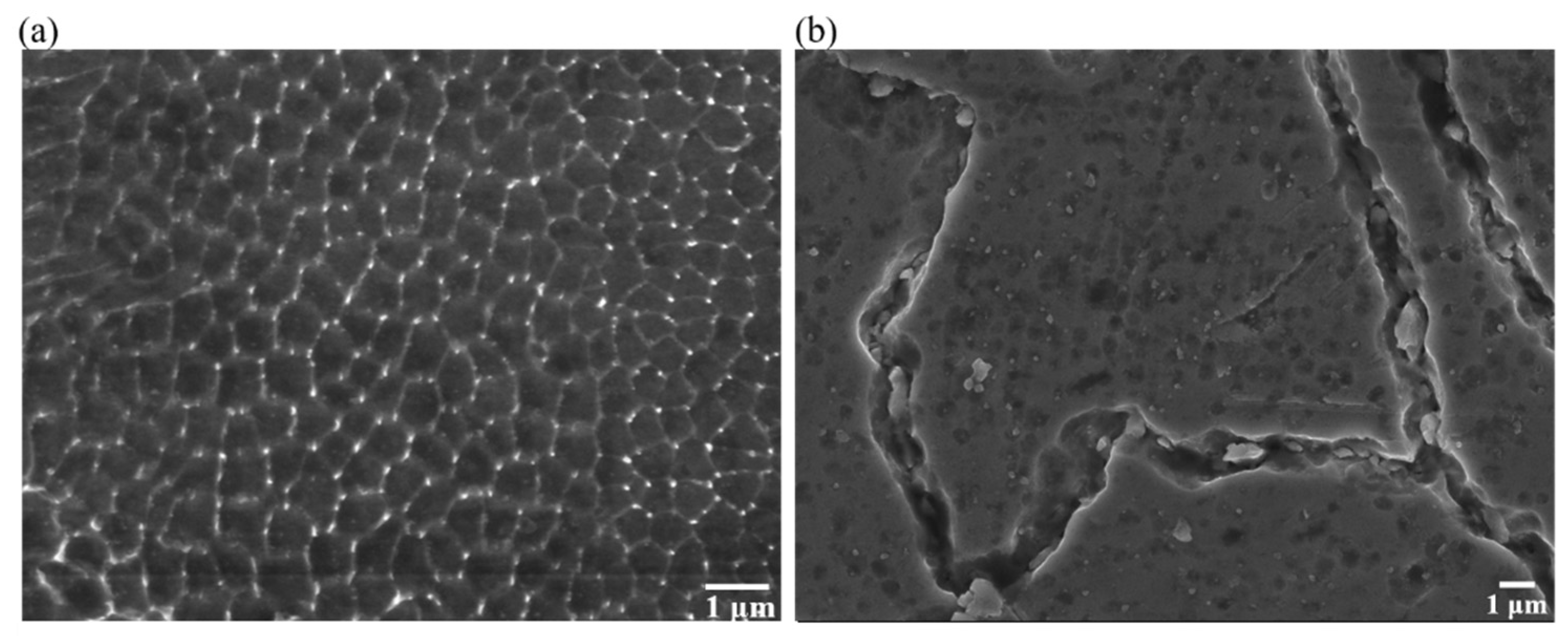 Materials 16 00751 g010 Materials 16 00751 g010