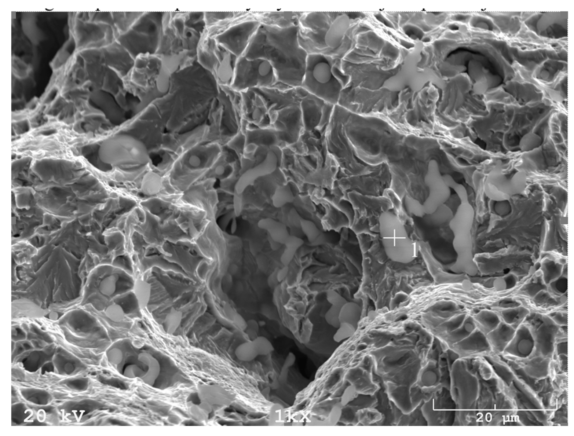 Materials 16 00760 g017