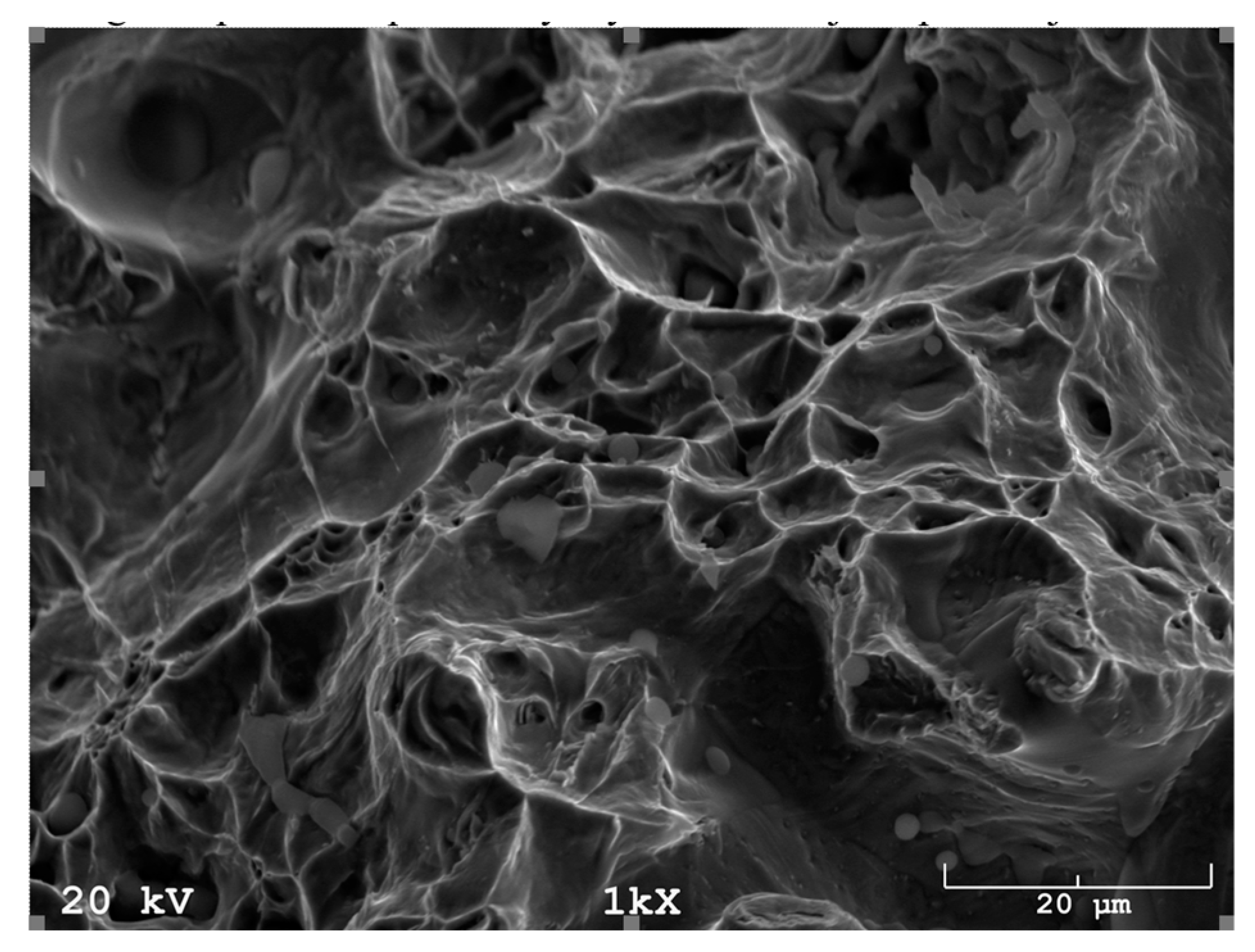 Materials 16 00760 g018