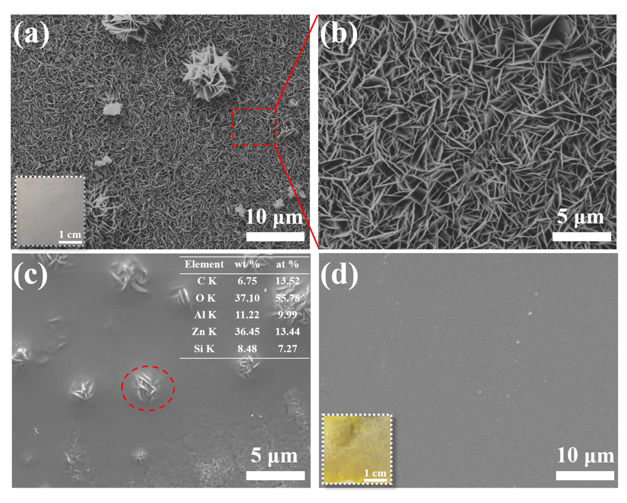 Materials 16 00775 g001 Materials 16 00775 g001