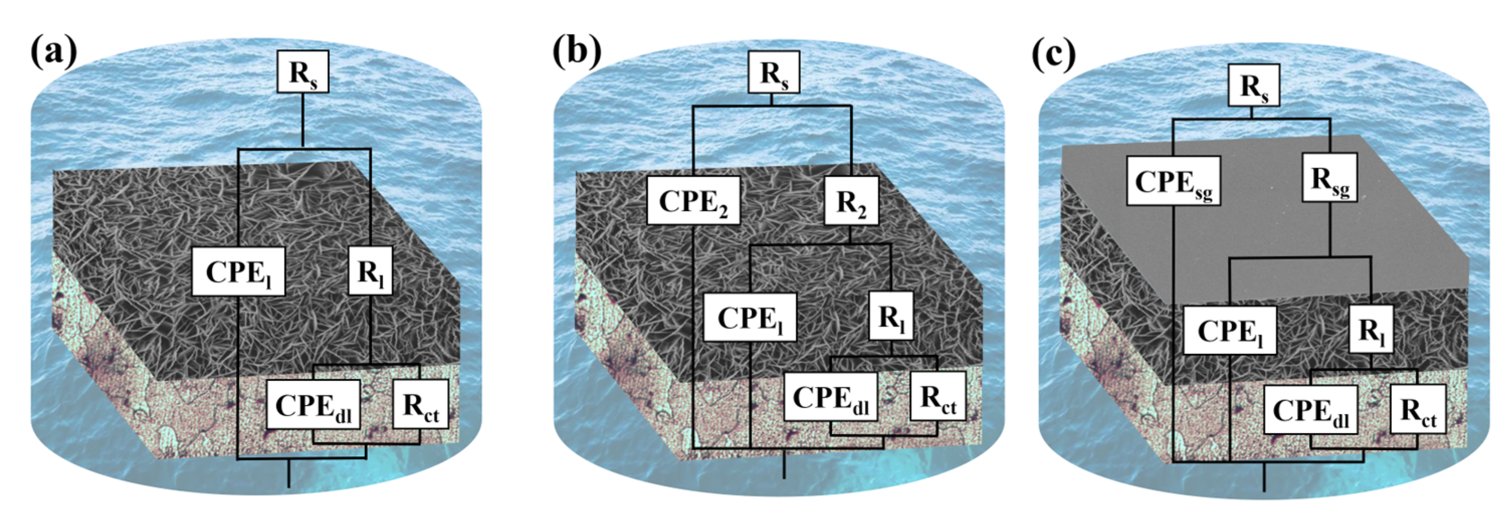 Materials 16 00775 g006 Materials 16 00775 g006