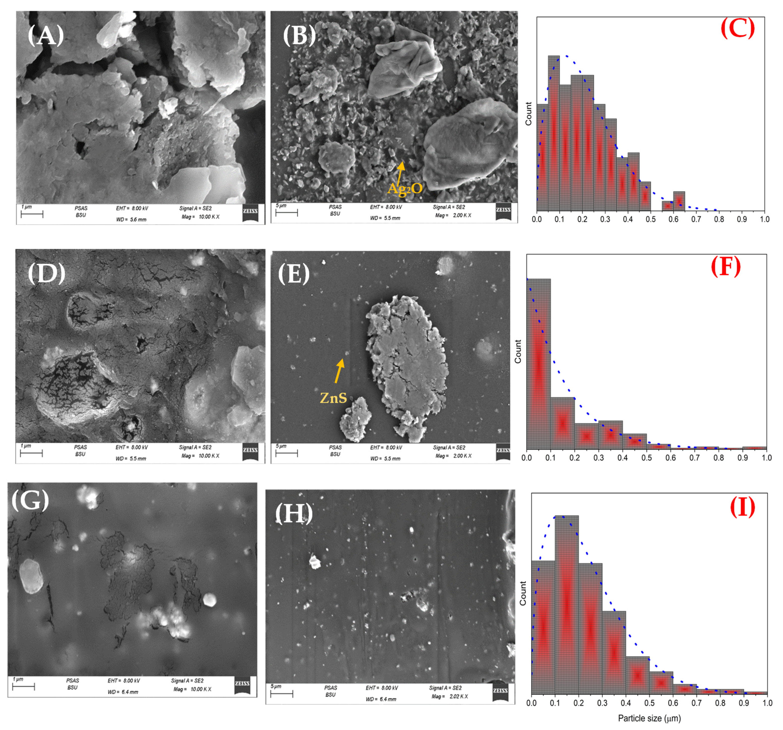 Materials 16 00777 g003 Materials 16 00777 g003