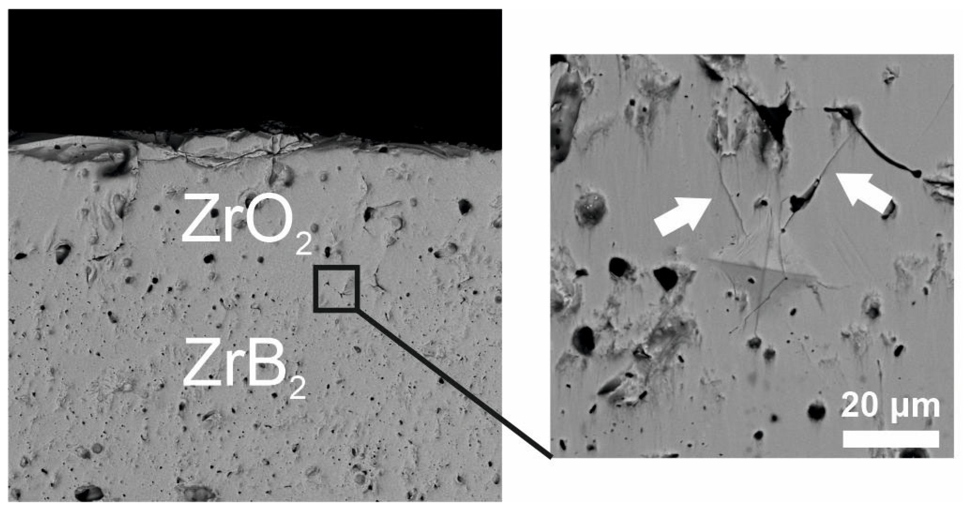 Materials 16 00781 g005 Materials 16 00781 g005