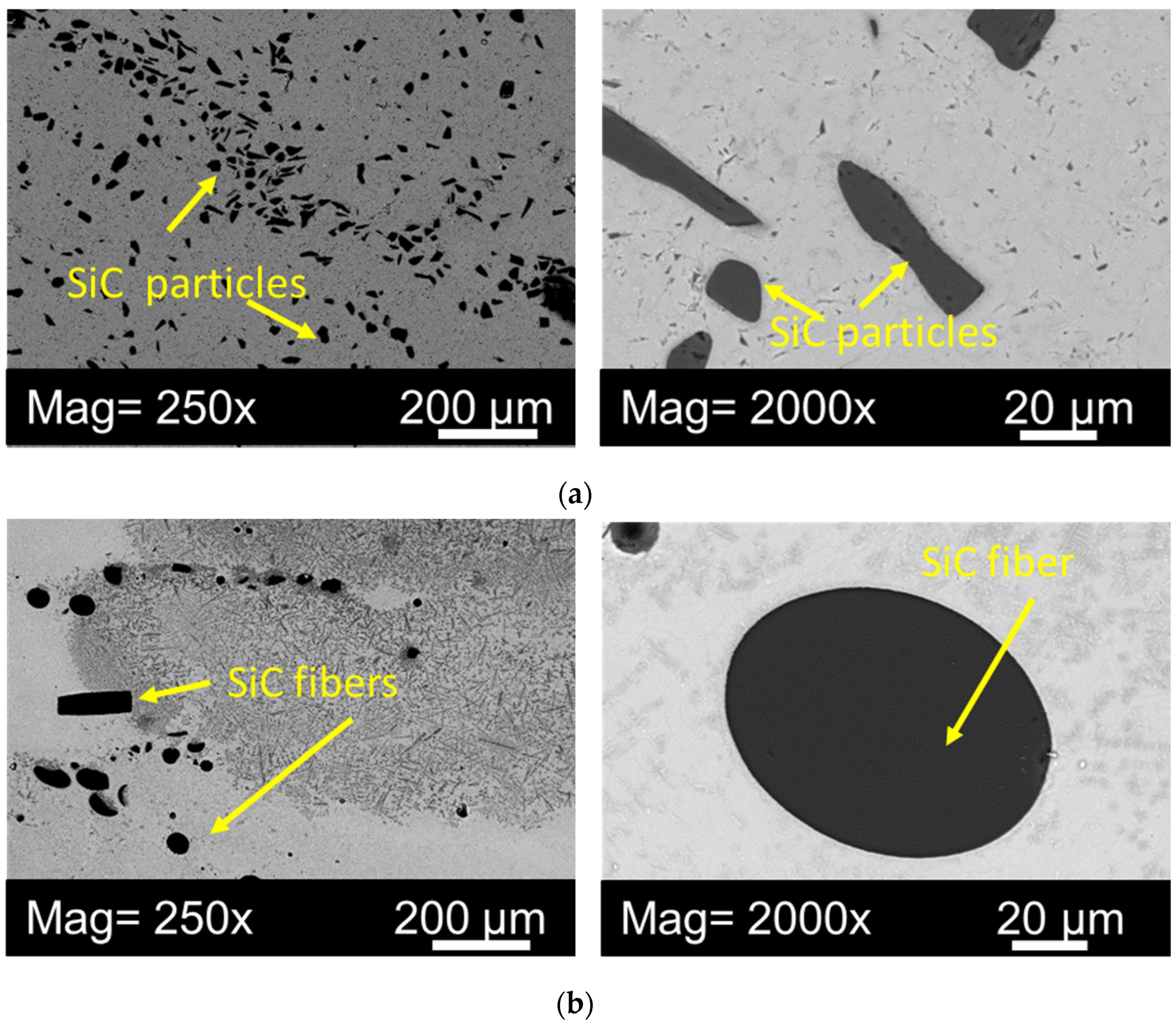 Materials 16 00783 g003