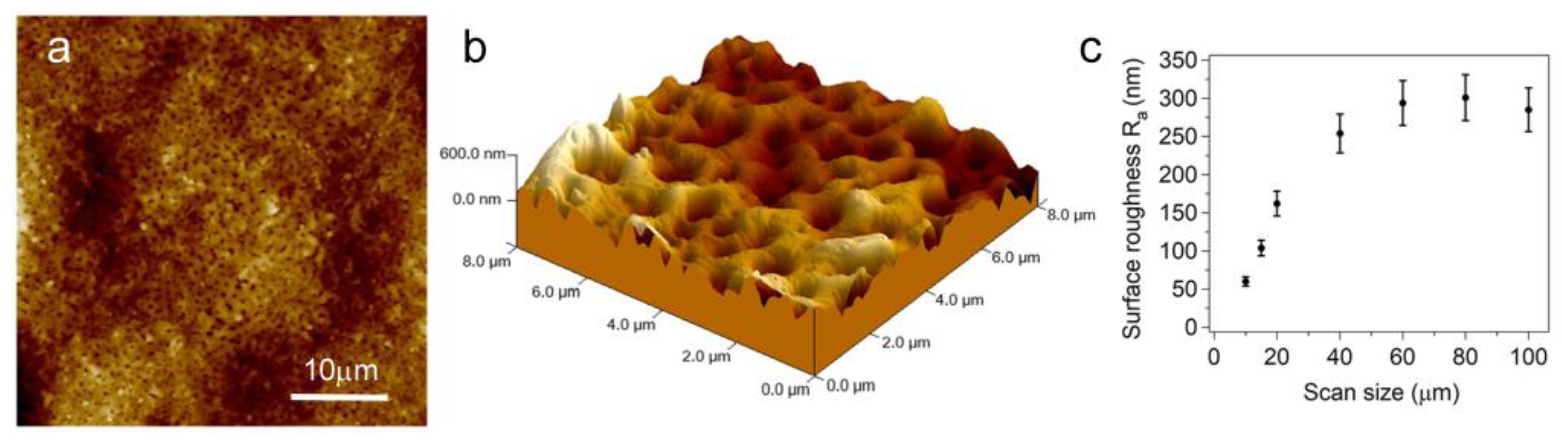 Materials 16 00784 g001 Materials 16 00784 g001