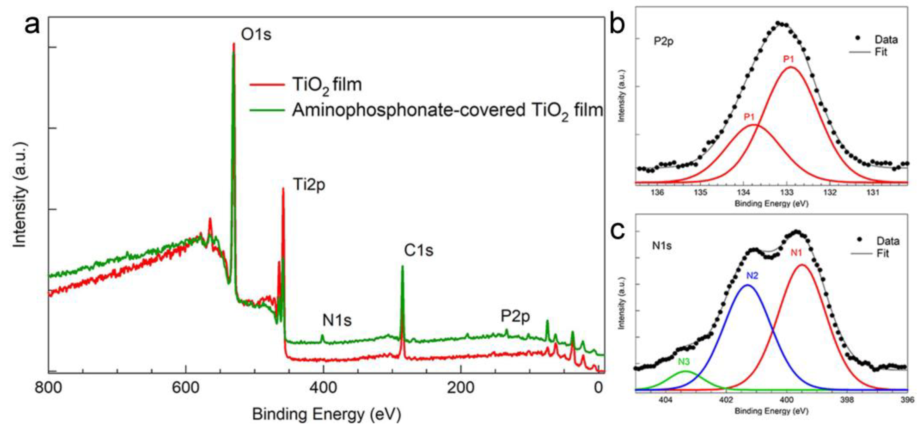 Materials 16 00784 g003 Materials 16 00784 g003