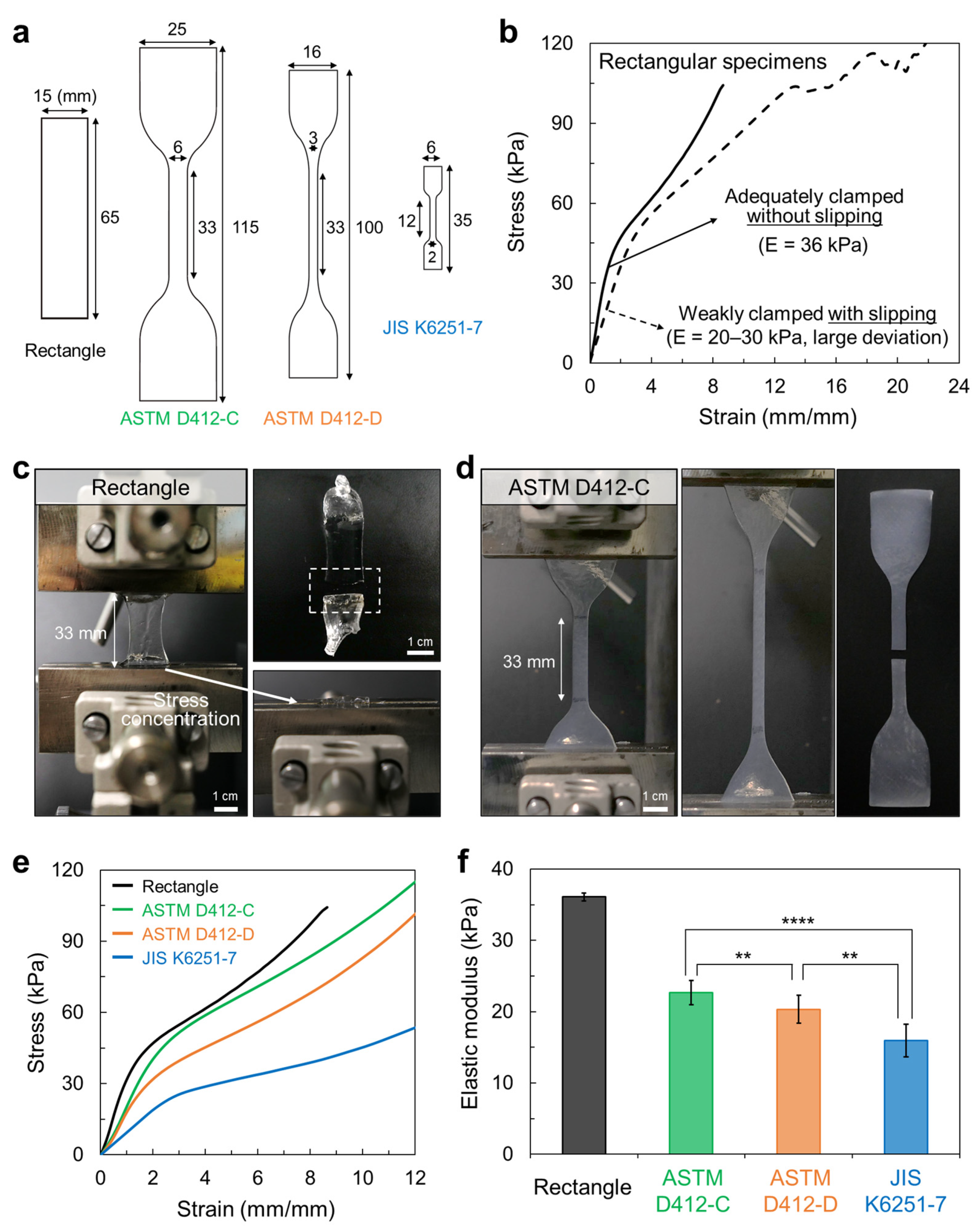 Specimen Geometry Effect on Experimental Tensile Mechanical 