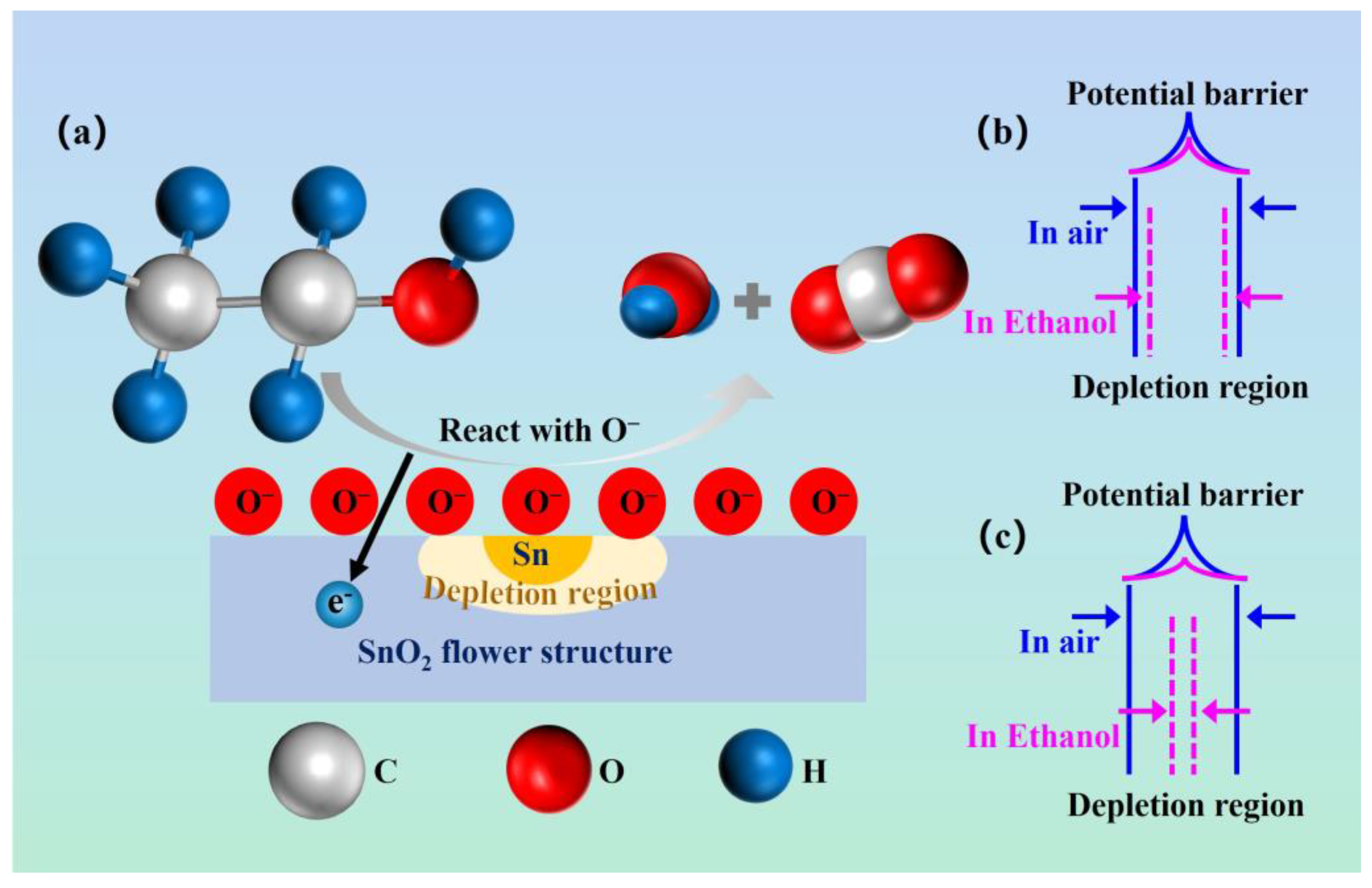 In Situ Synthesis of Hierarchical Flower-like Sn/SnO2 Heterogeneous ...