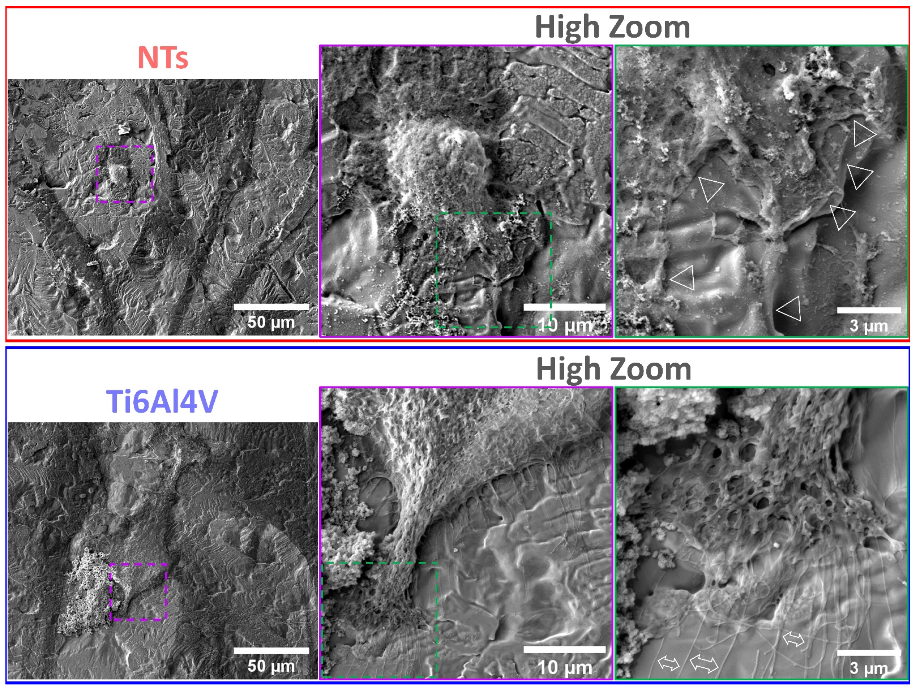Materials 16 00794 g004