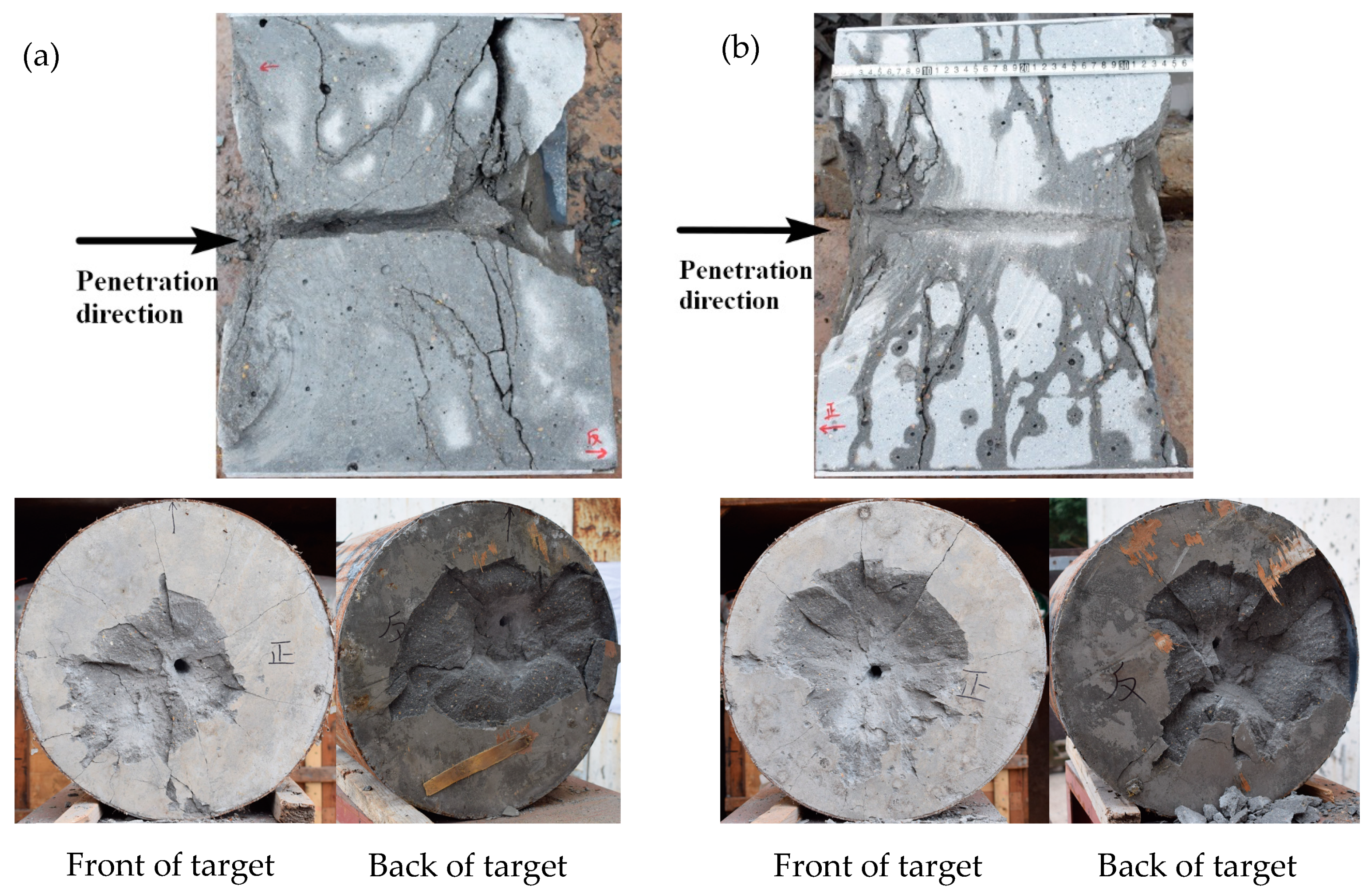 Materials 16 00800 g029