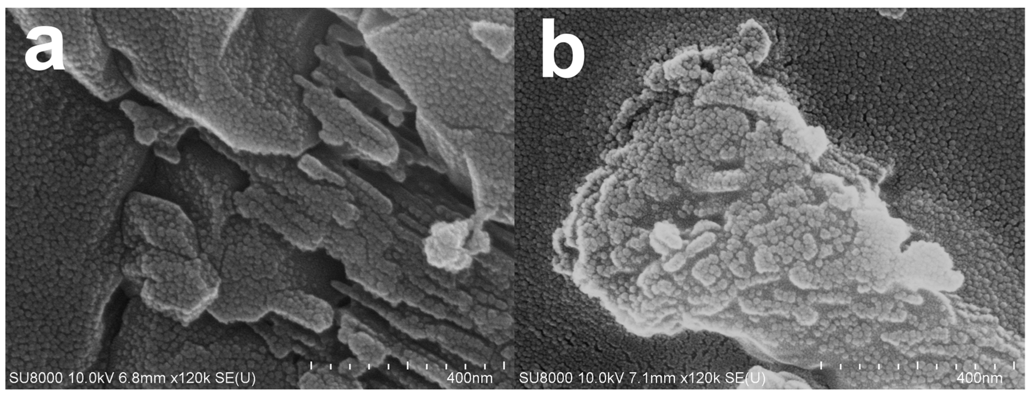 Materials 16 00805 g007 Materials 16 00805 g007