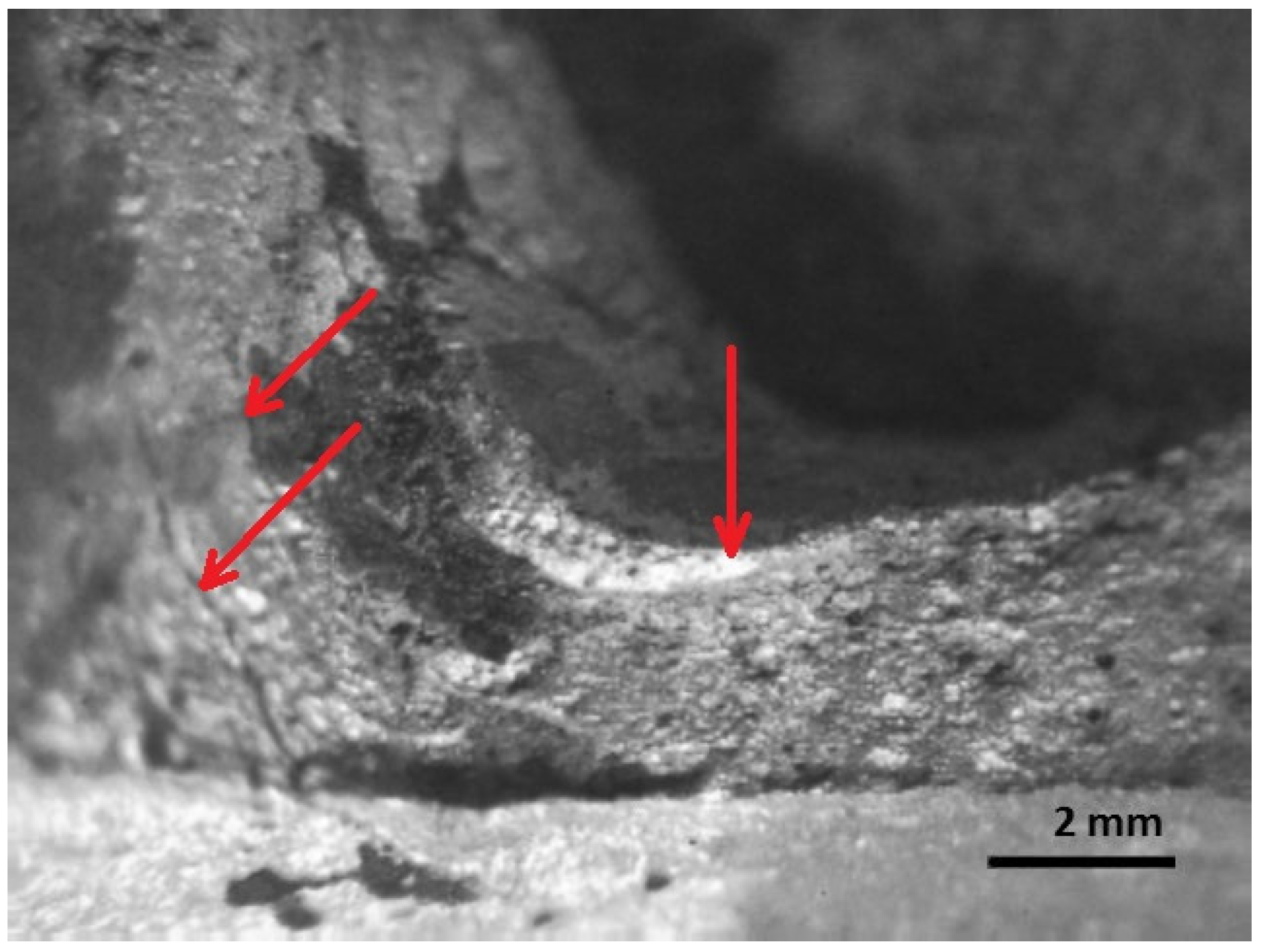 Materials 16 00806 g017