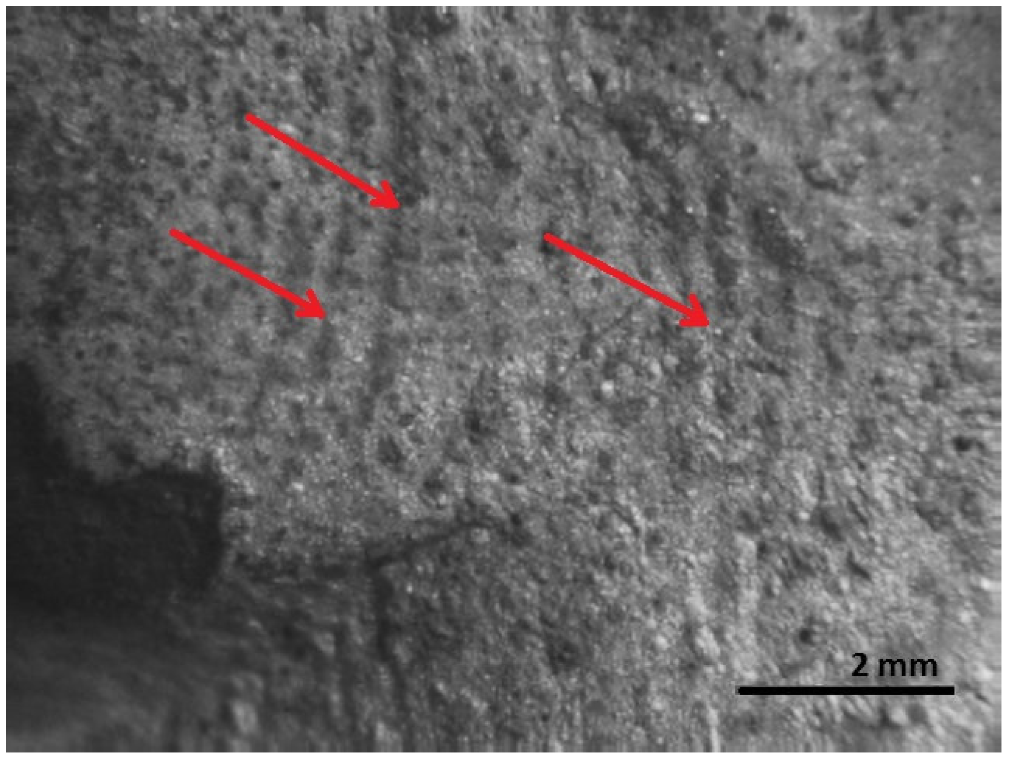 Materials 16 00806 g018