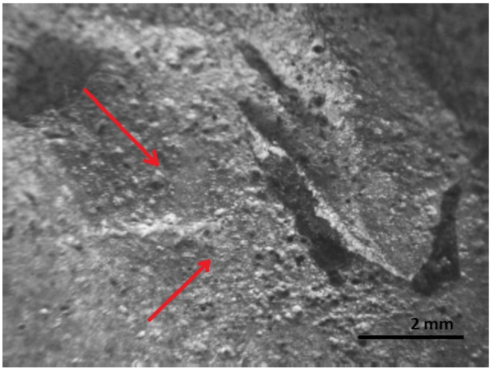 Materials 16 00806 g019