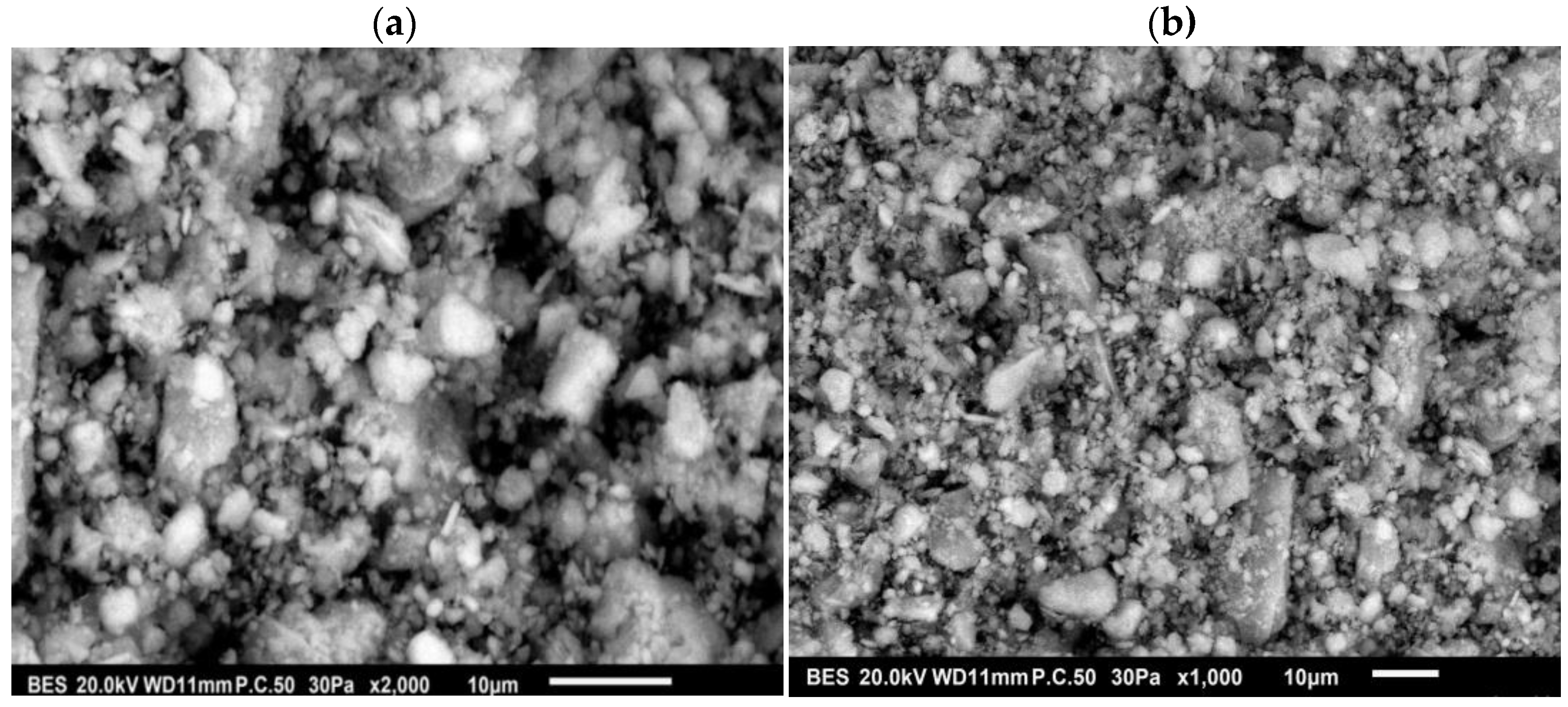 Materials 16 00809 g005