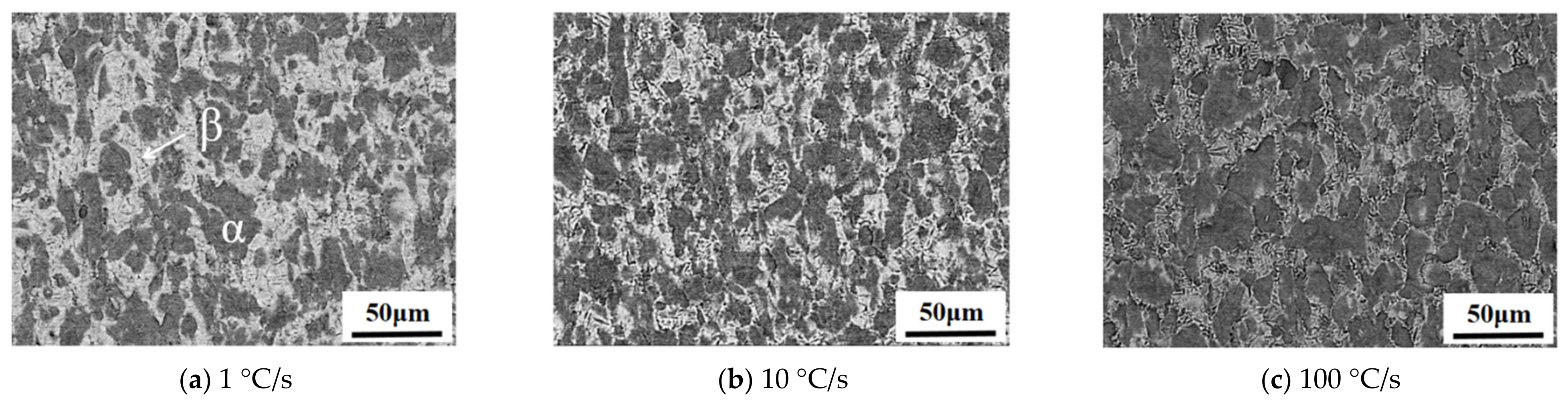 Materials 16 00810 g008