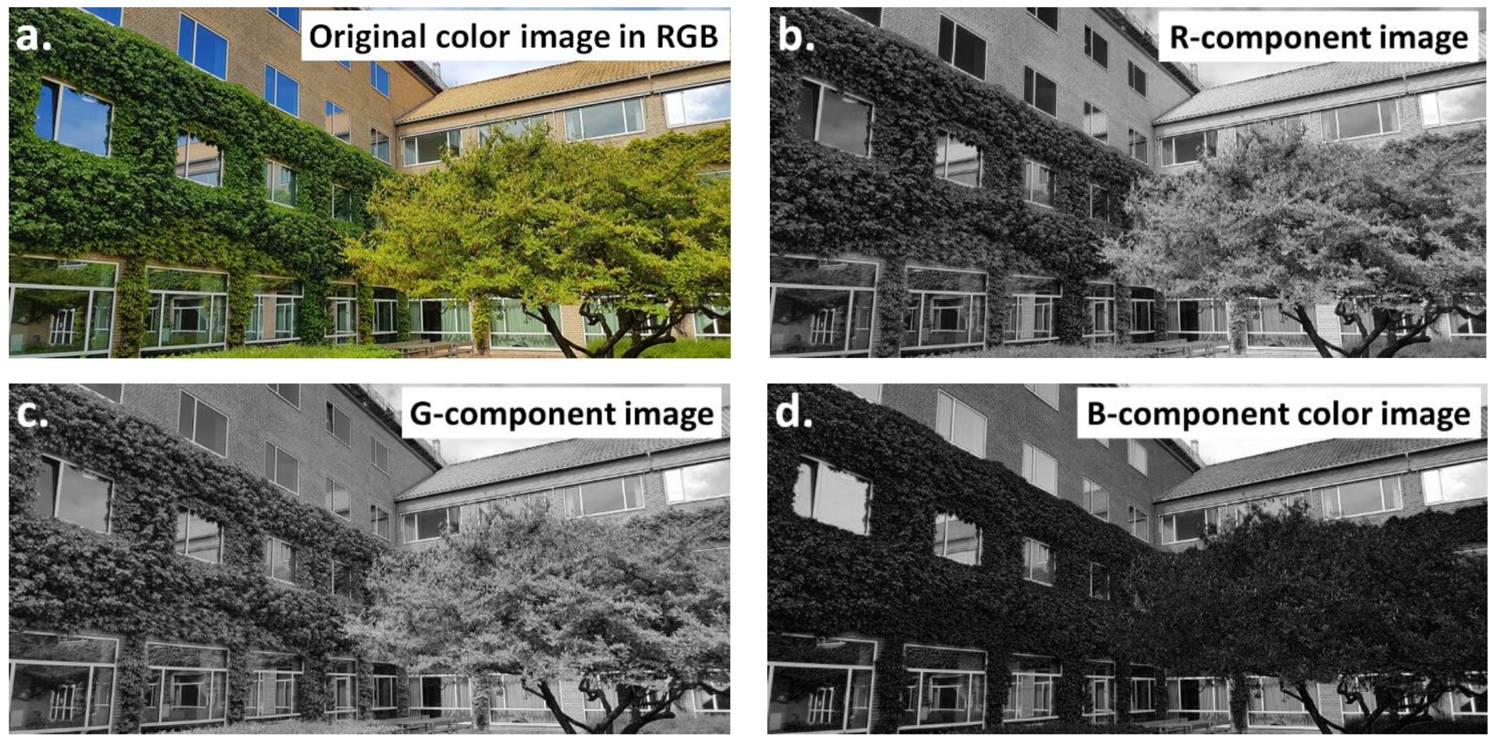 Materials 16 00812 g003 Materials 16 00812 g003