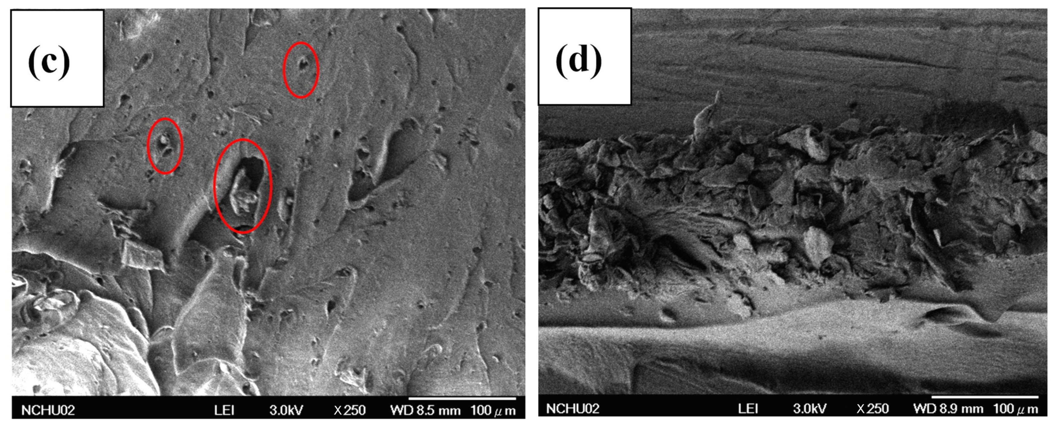 Materials 16 00816 g005b Materials 16 00816 g005b