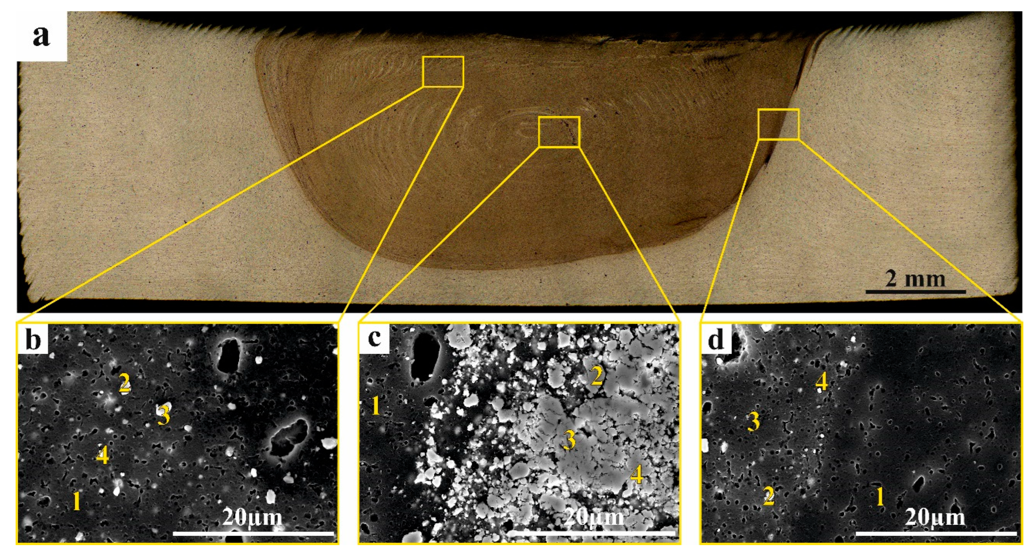 Materials 16 00817 g012 Materials 16 00817 g012