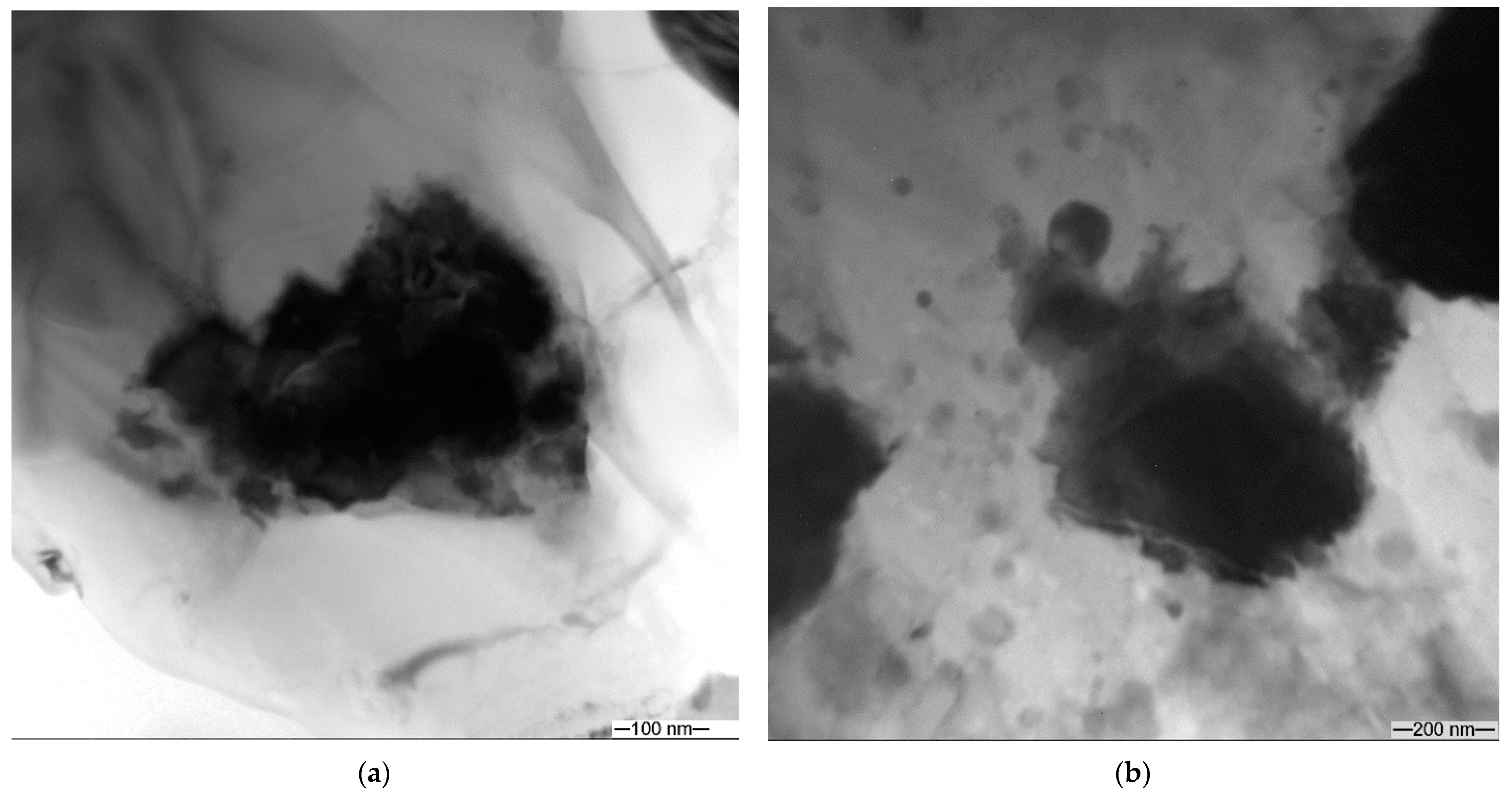 Materials 16 00817 g014 Materials 16 00817 g014